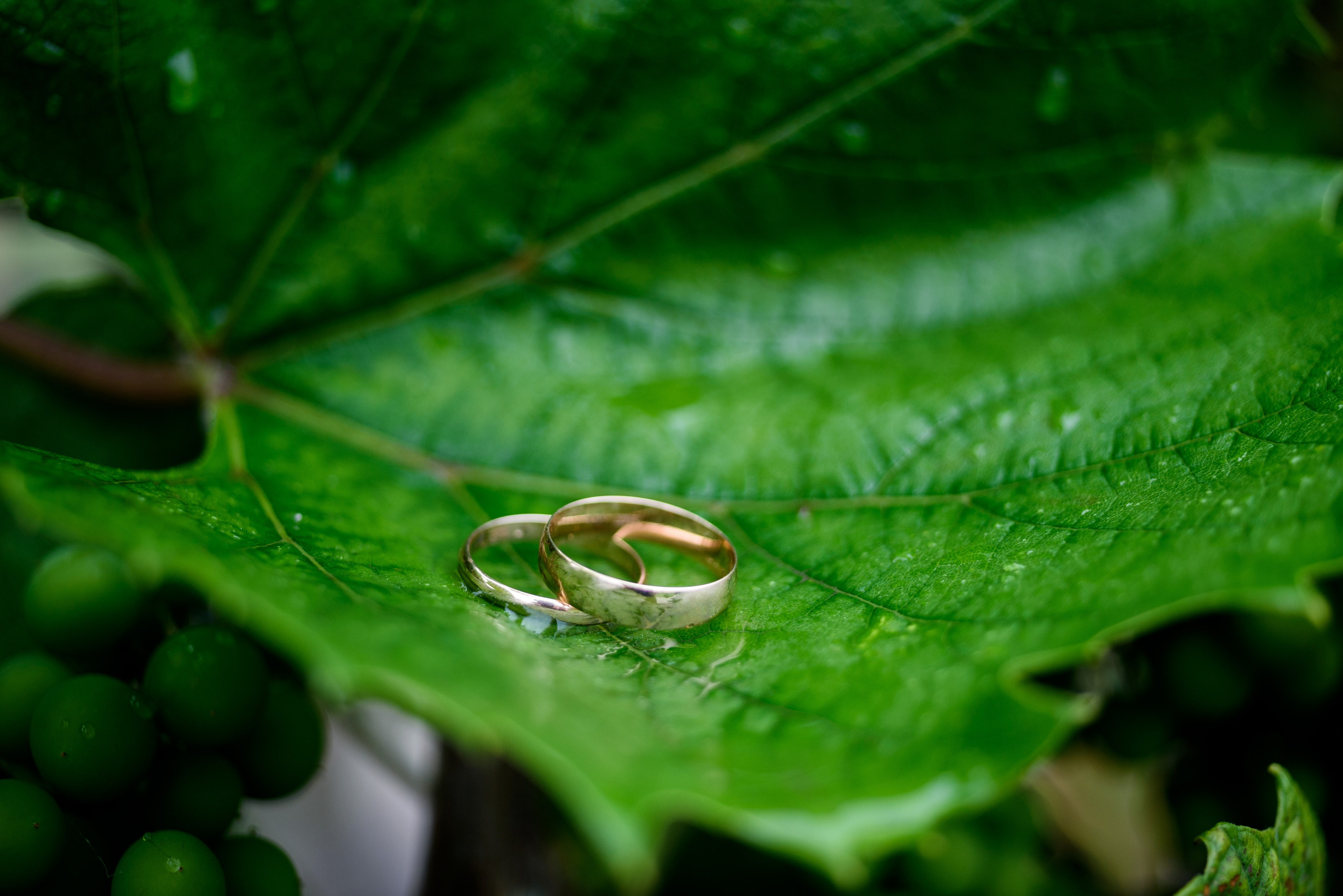 Roma & Arina. Ritvars Pujats Emotion Photographer