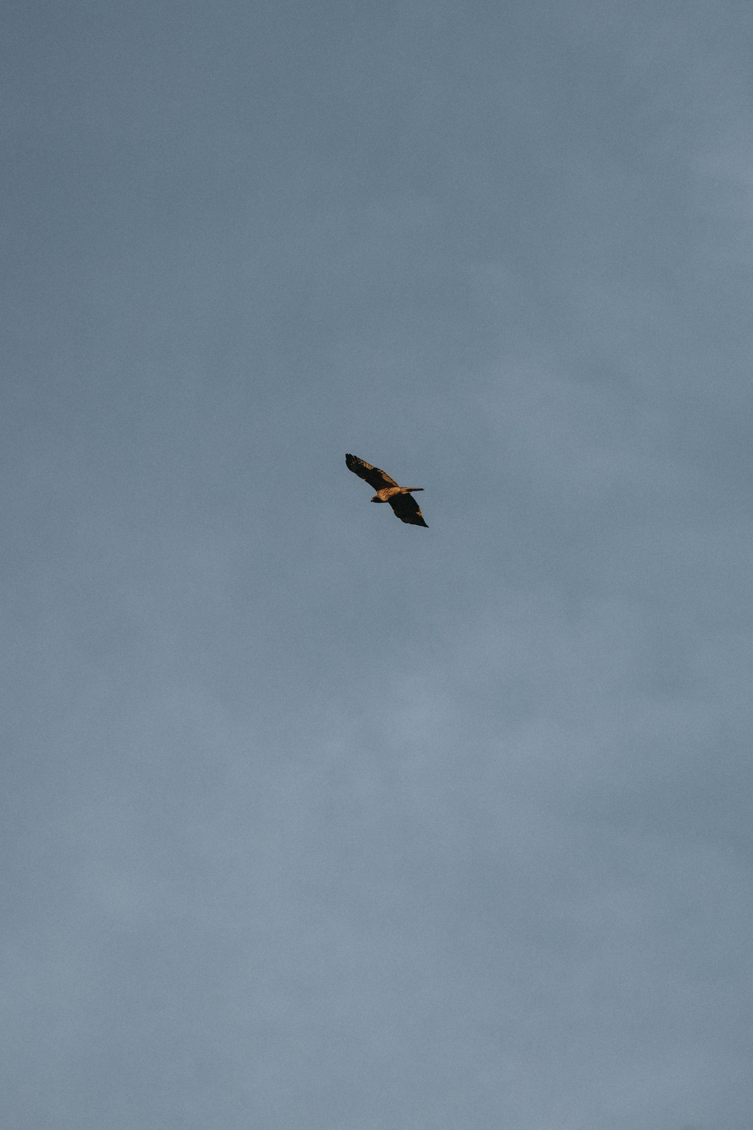 Shelby & Riley Engagement Session | Smith Rock State Park, Oregon. Portland & Seattle Wedding, Elopement & Engagement Photographer | Georgy Shishkin