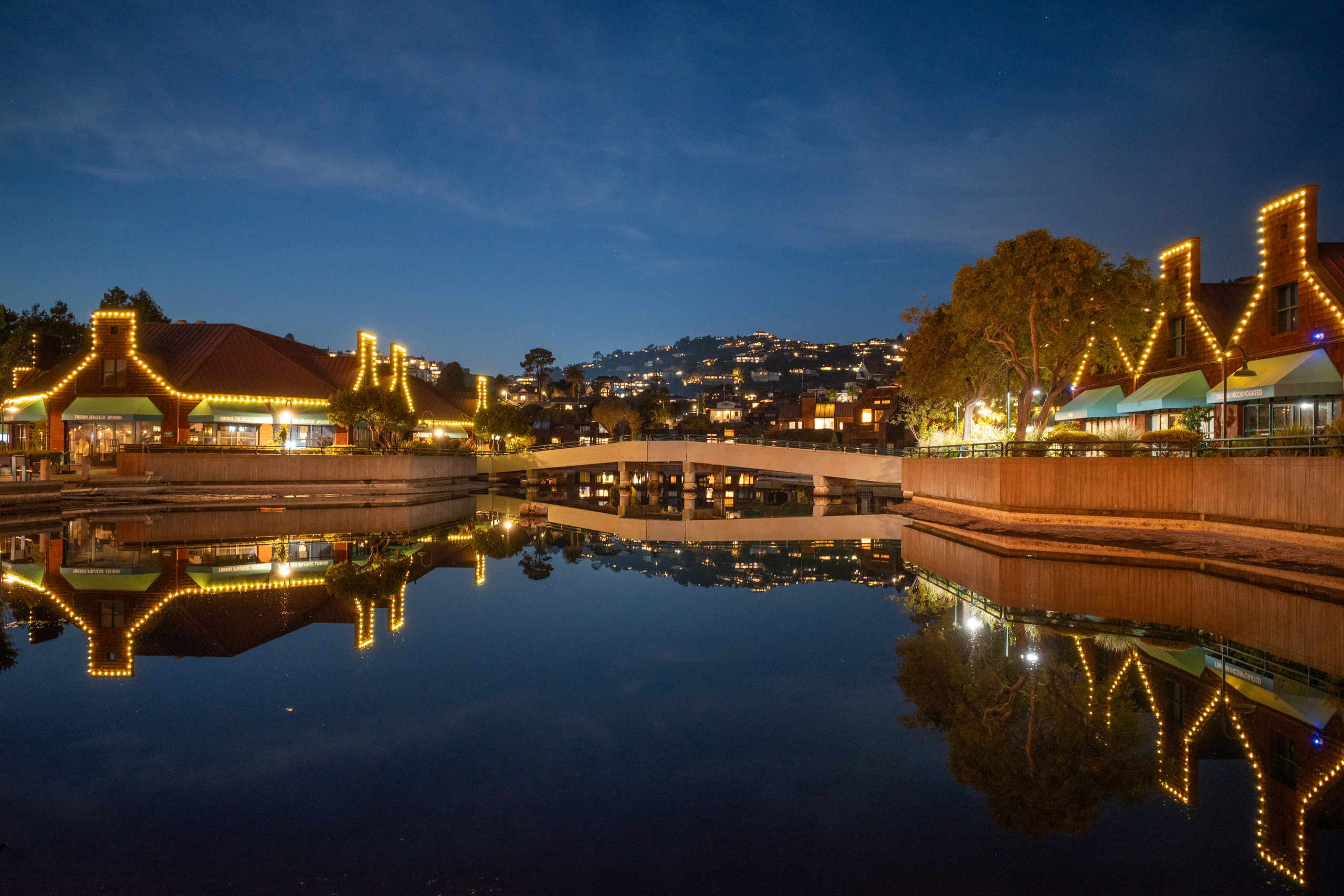 San Francisco. Aleks.photo | Book a photoshoot