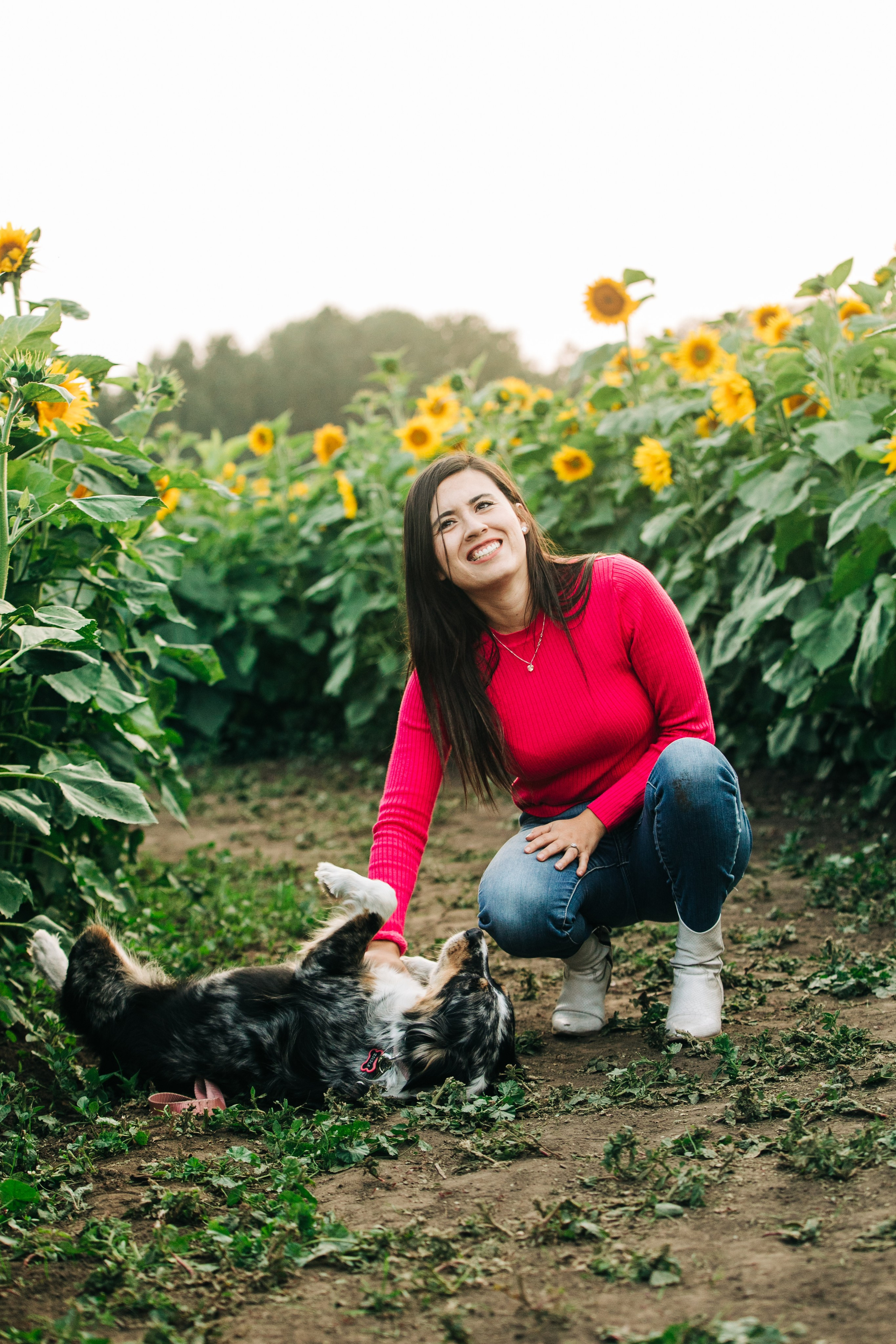 Bowden Sunmaze Ana Pau. Fotografía accesible en Calgary