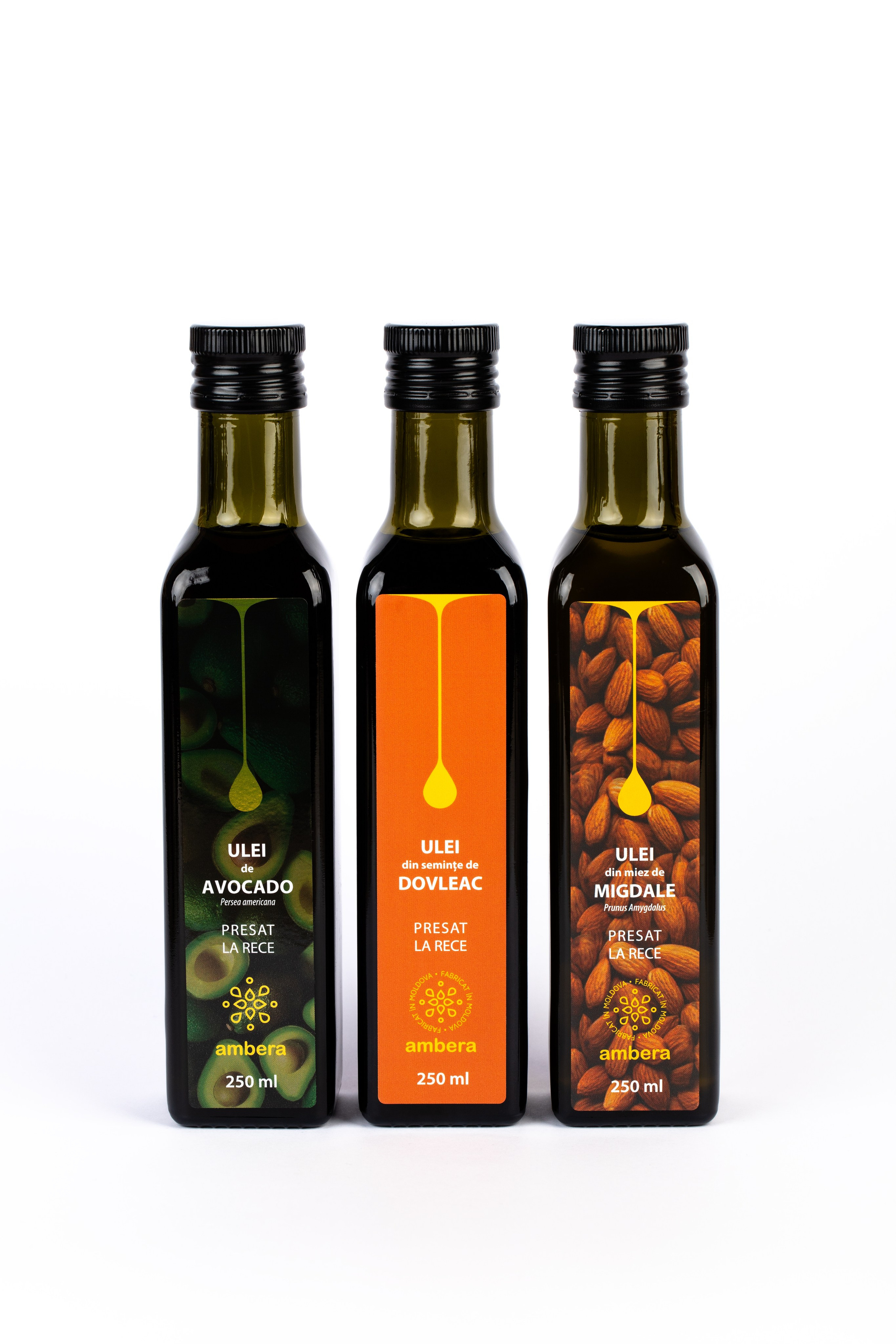 Catalog. Fotograf și Videograf | Chișinău, Moldova