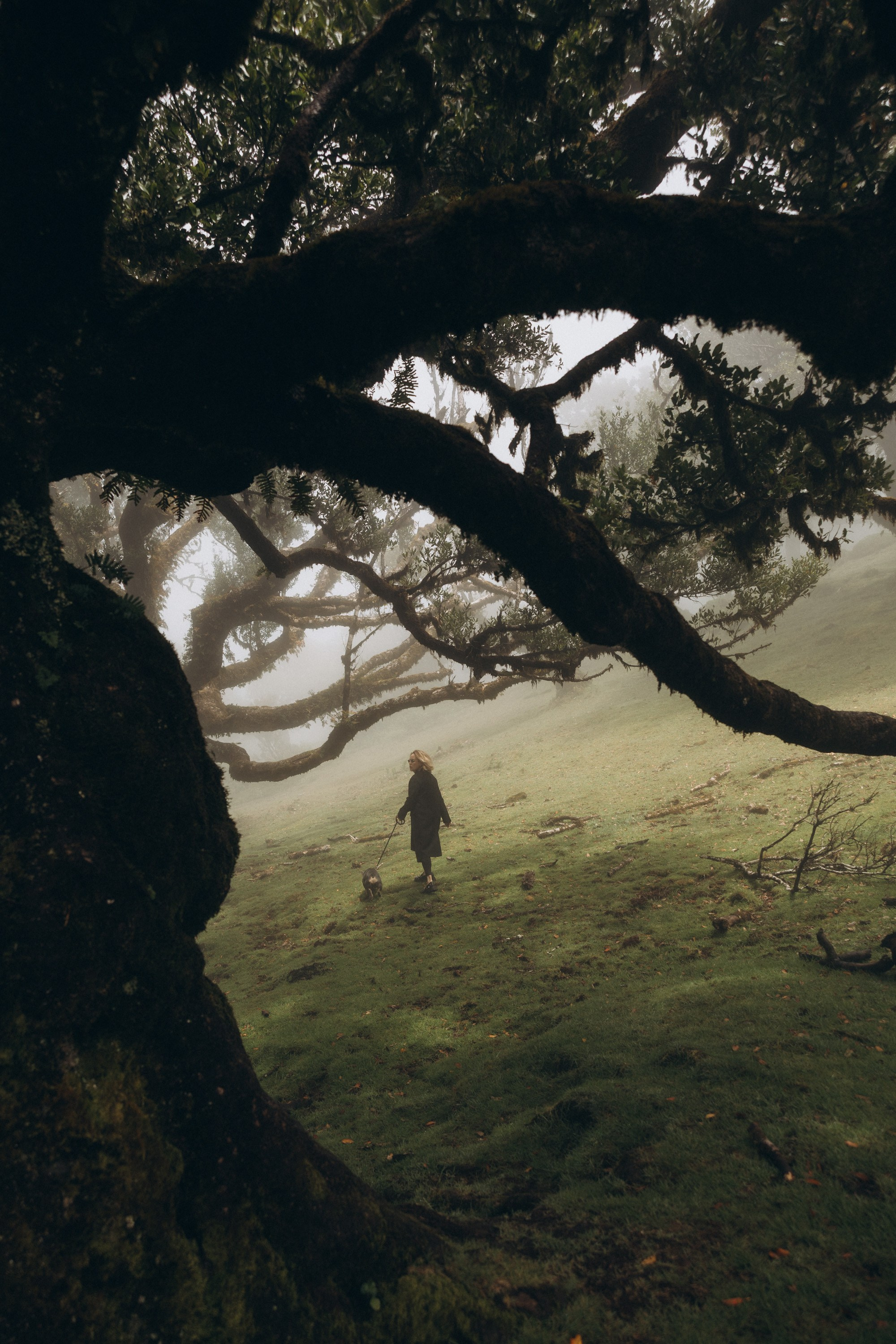 Solo Photoshoot in Fanal Forest, Madeira. Fotógrafa na Madeira para casais, pedidos de casamento, elopements e casamentos íntimos | Tatiana