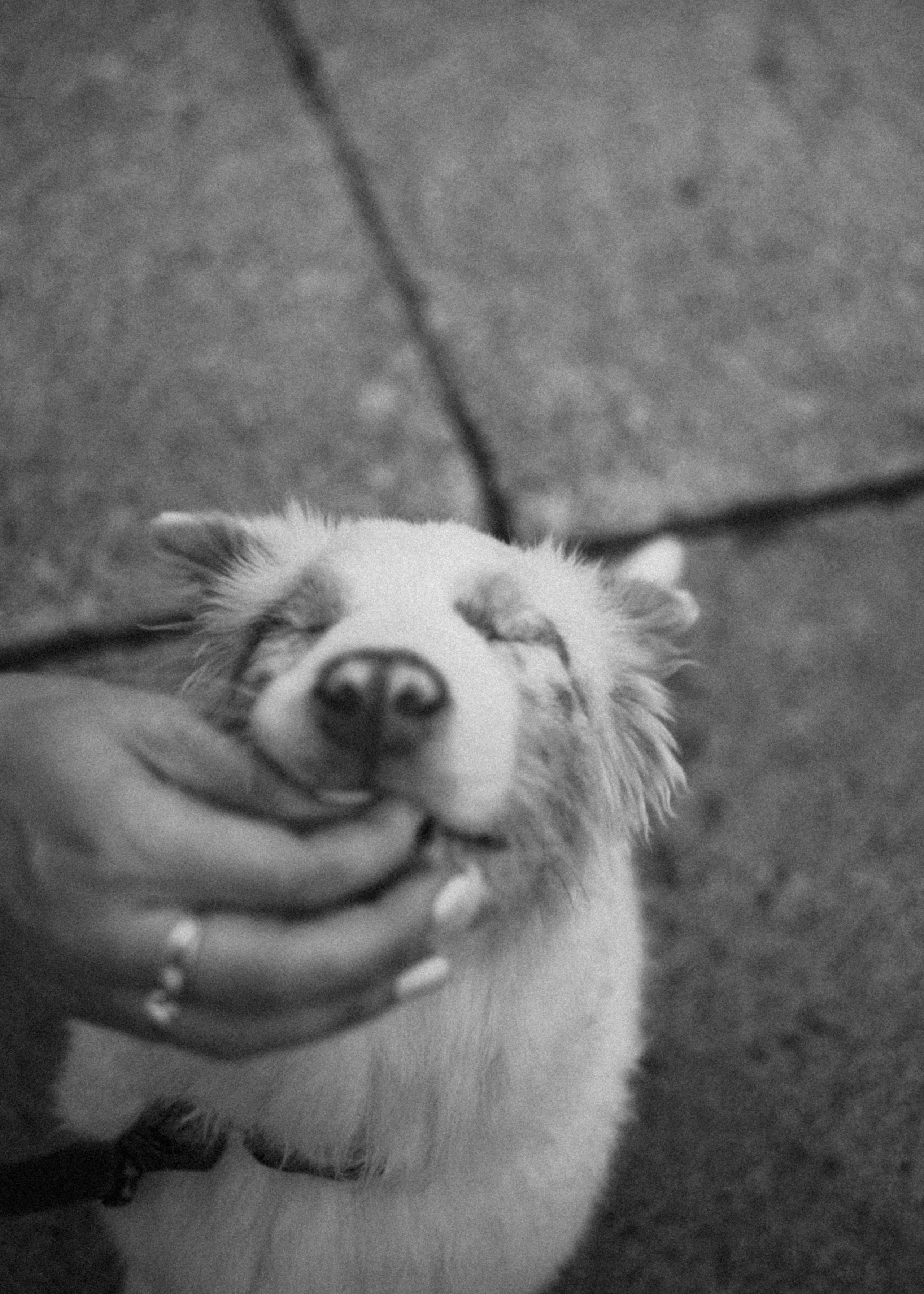 Anna&Cosmo. Pagina principale