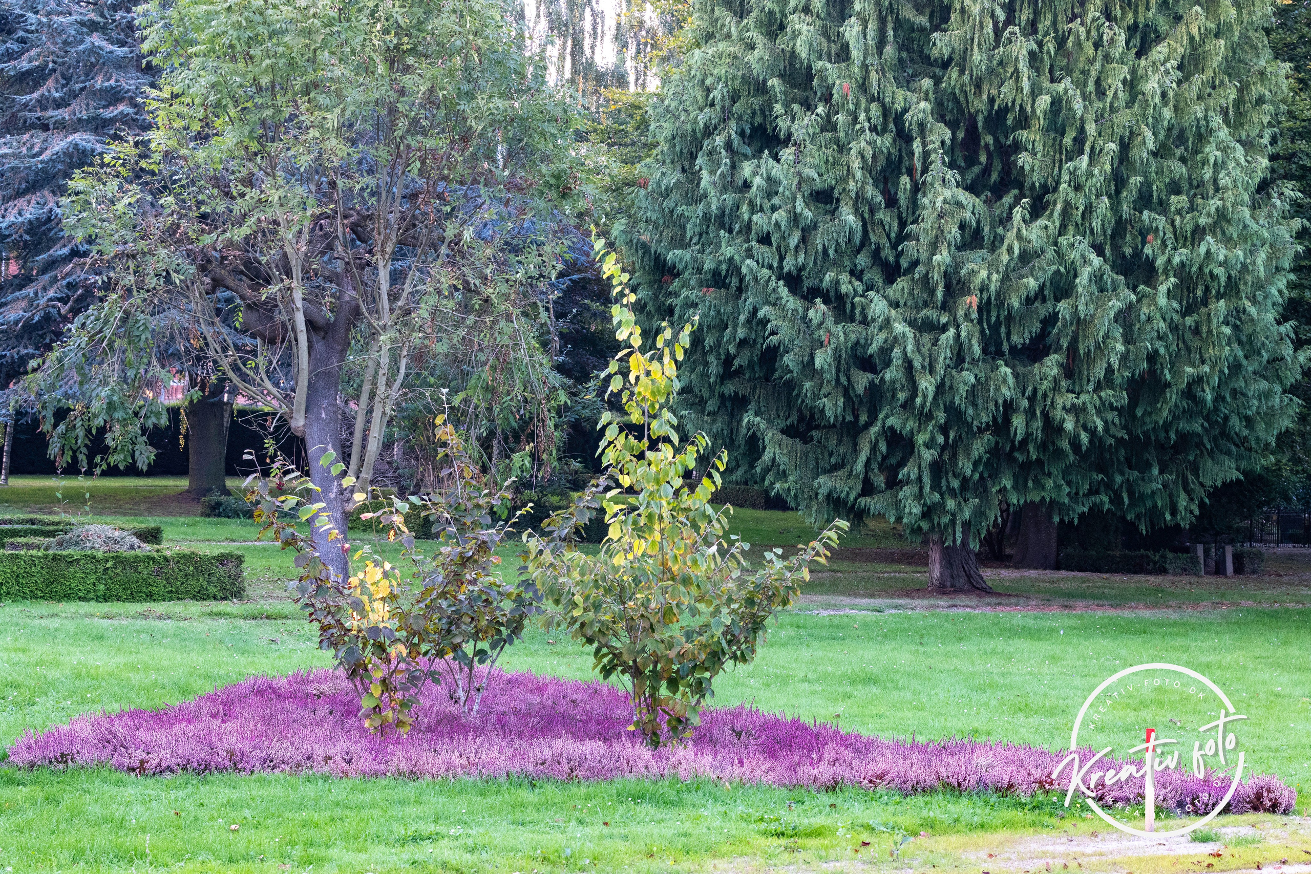 Efterår. Fotograf Aarhus | Portrætfoto Århus | Flotte billeder