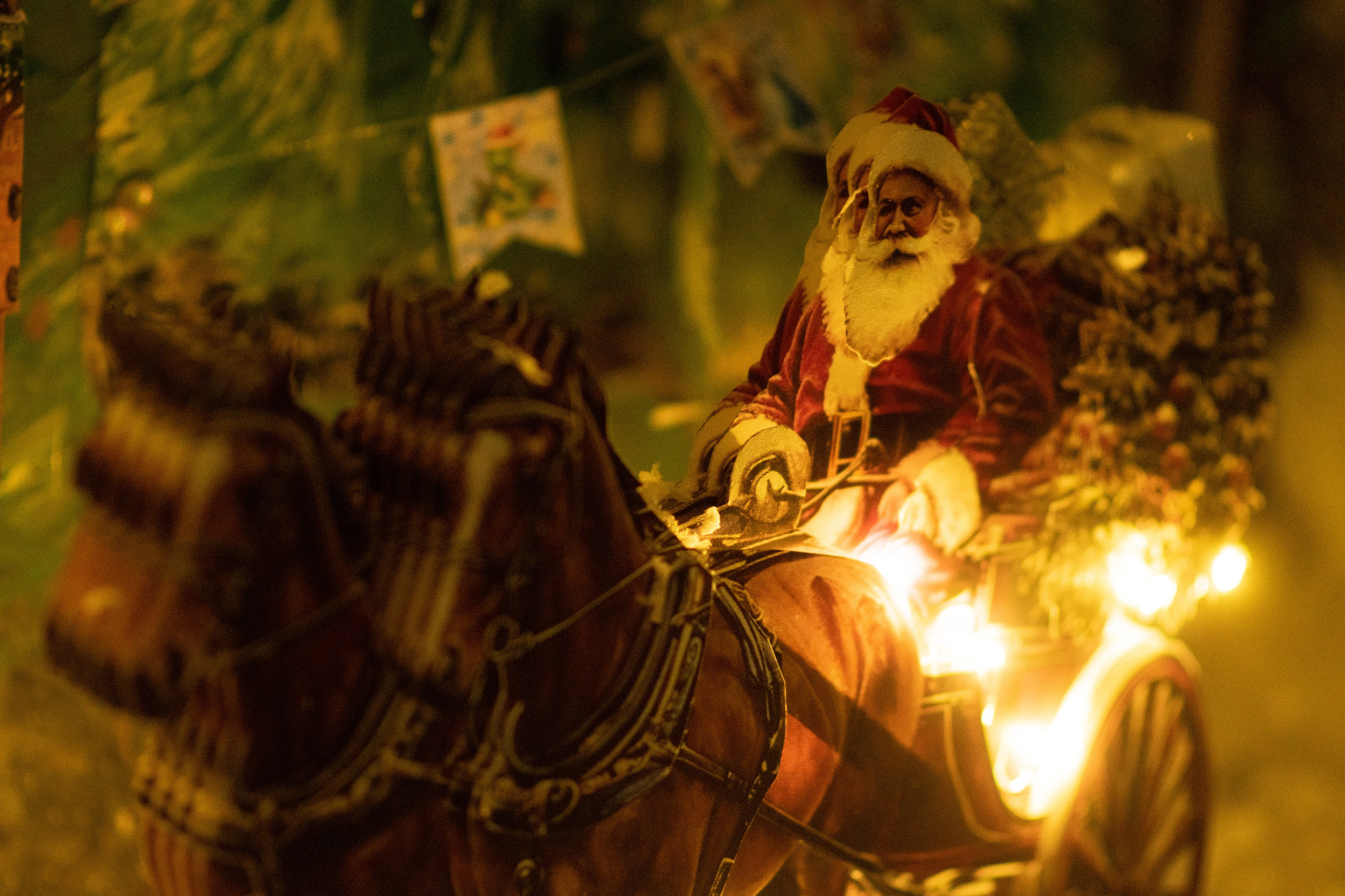 Проект. Семейный и детский фотограф