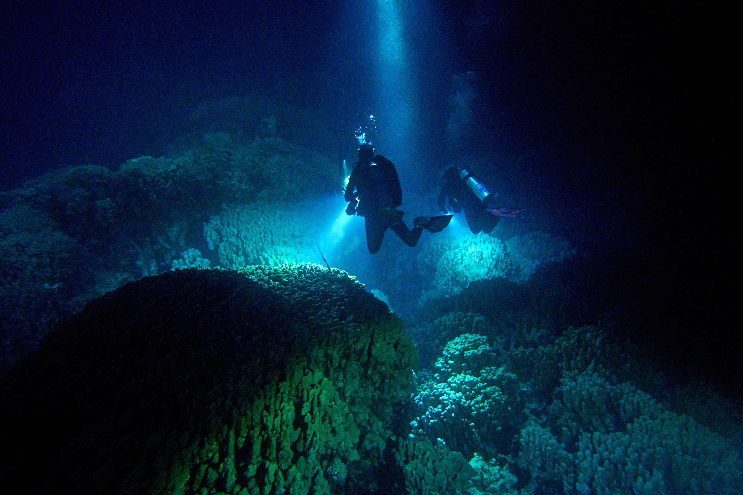 2023-11 - Diving Safari Deep South Egypt. Andriej Szypilow — Photography & Videography