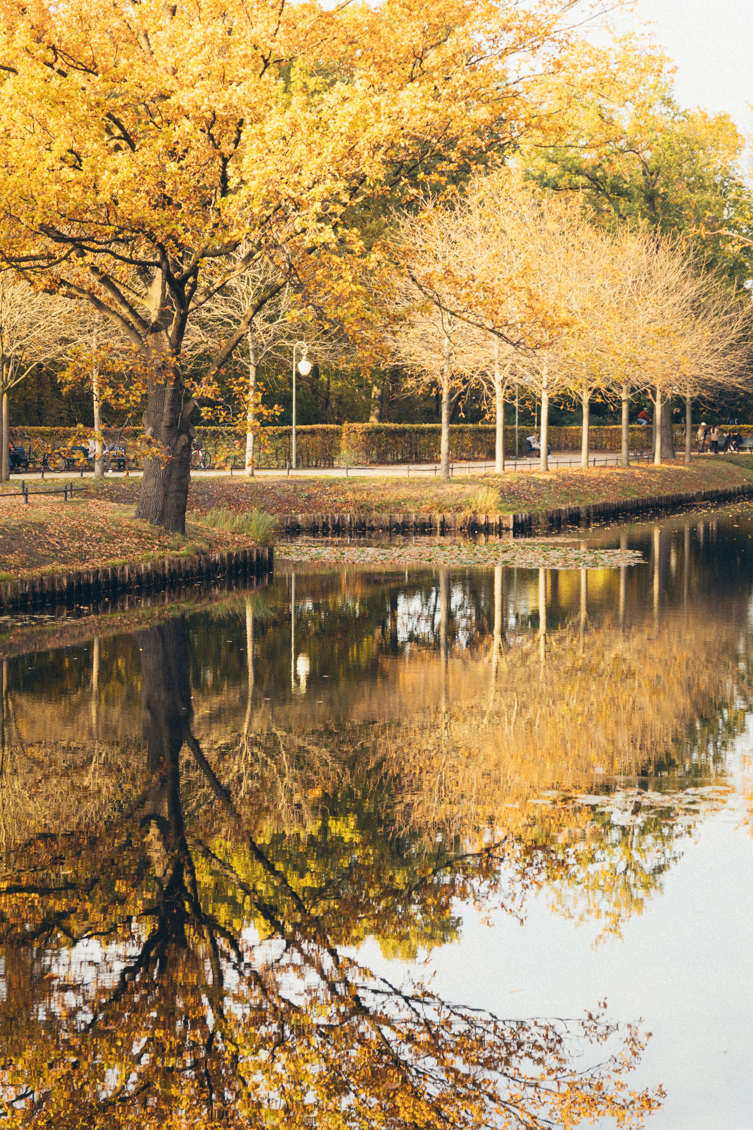 Flora. Evgeny Ignatik — street photographer | portraits