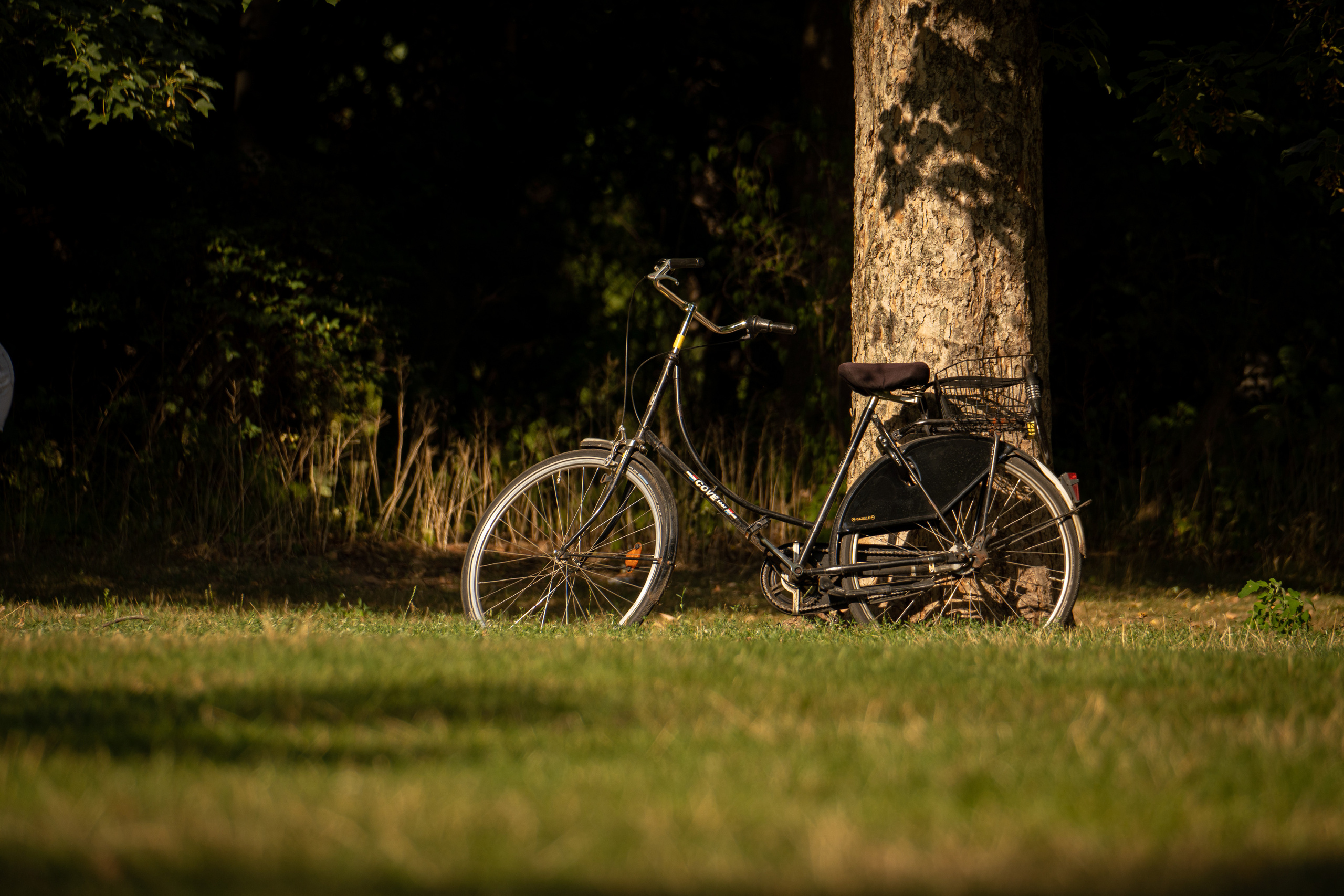 Berlin parks. Evgeny Ignatik — street photographer | portraits