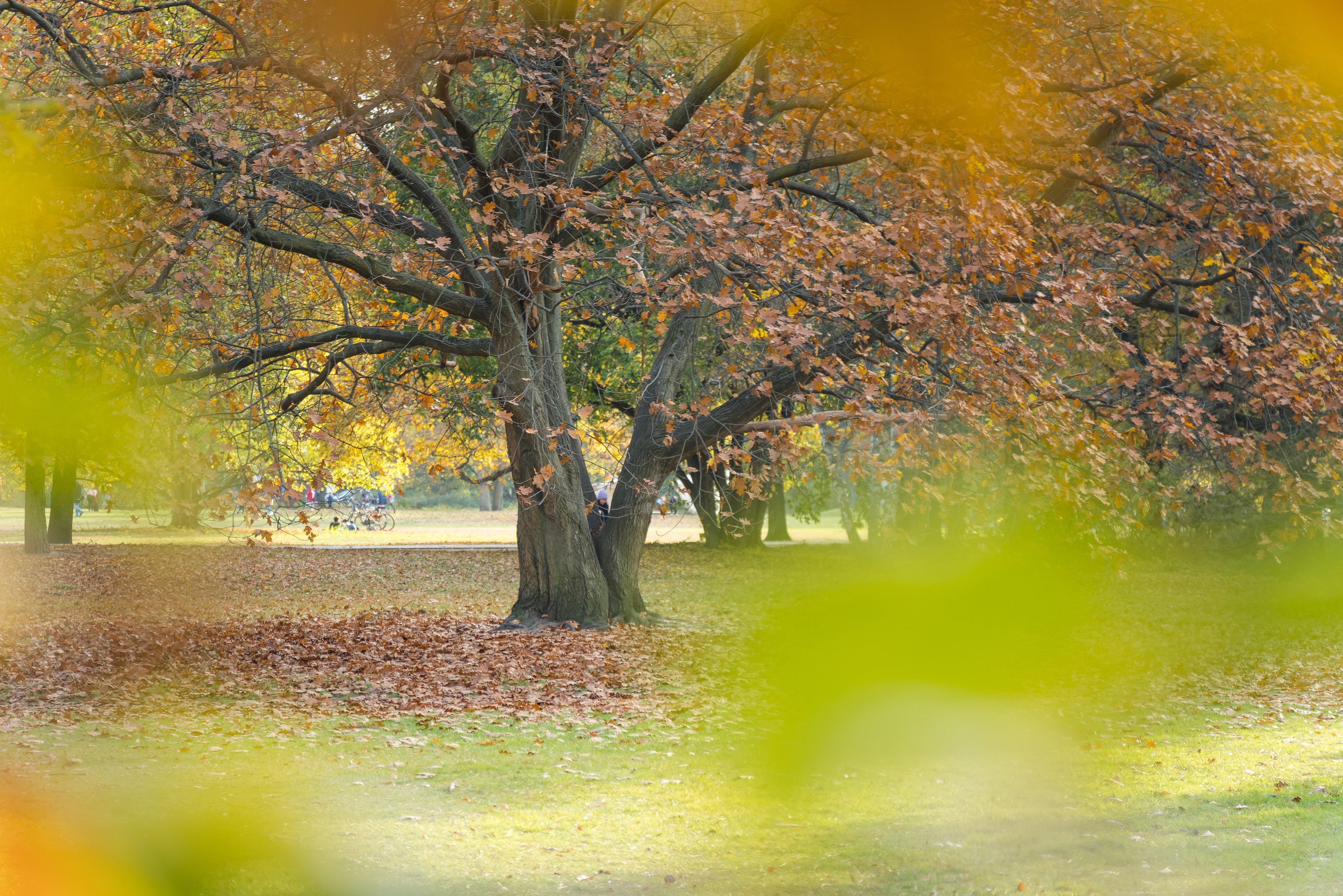 Flora. Evgeny Ignatik — street photographer | portraits