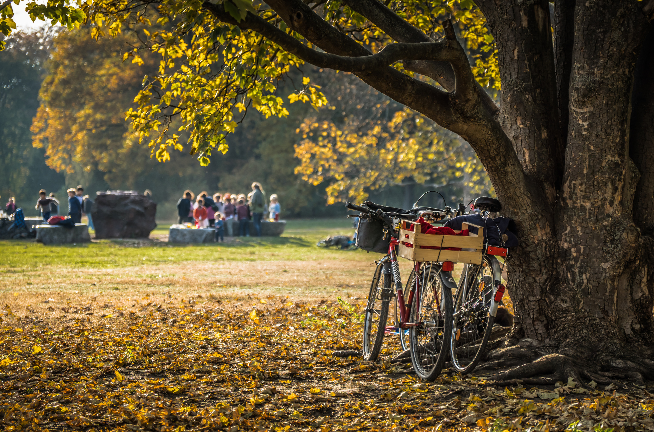 Flora. Evgeny Ignatik — street photographer | portraits