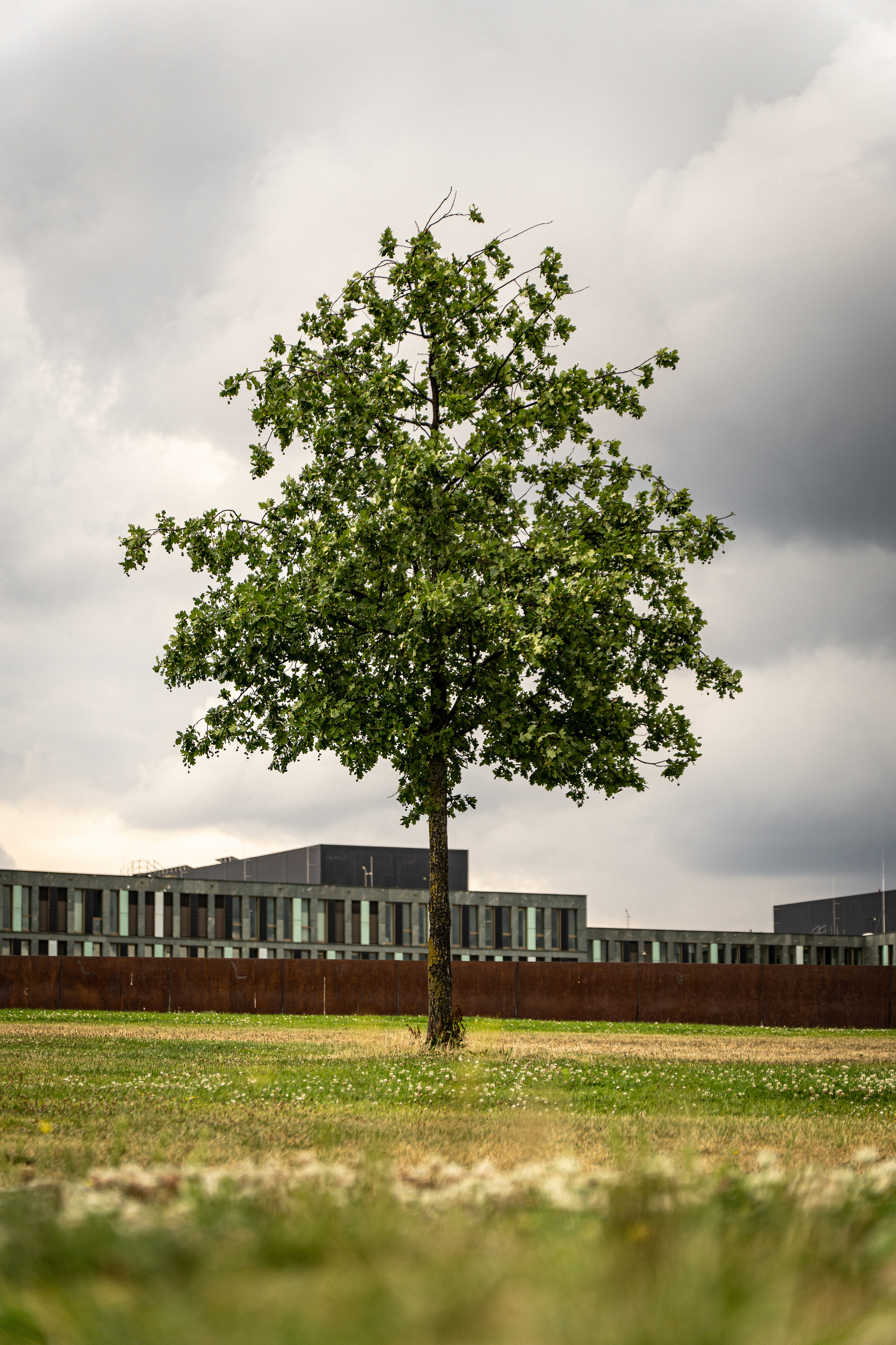 Cityscapes. Evgeny Ignatik — street photographer | portraits