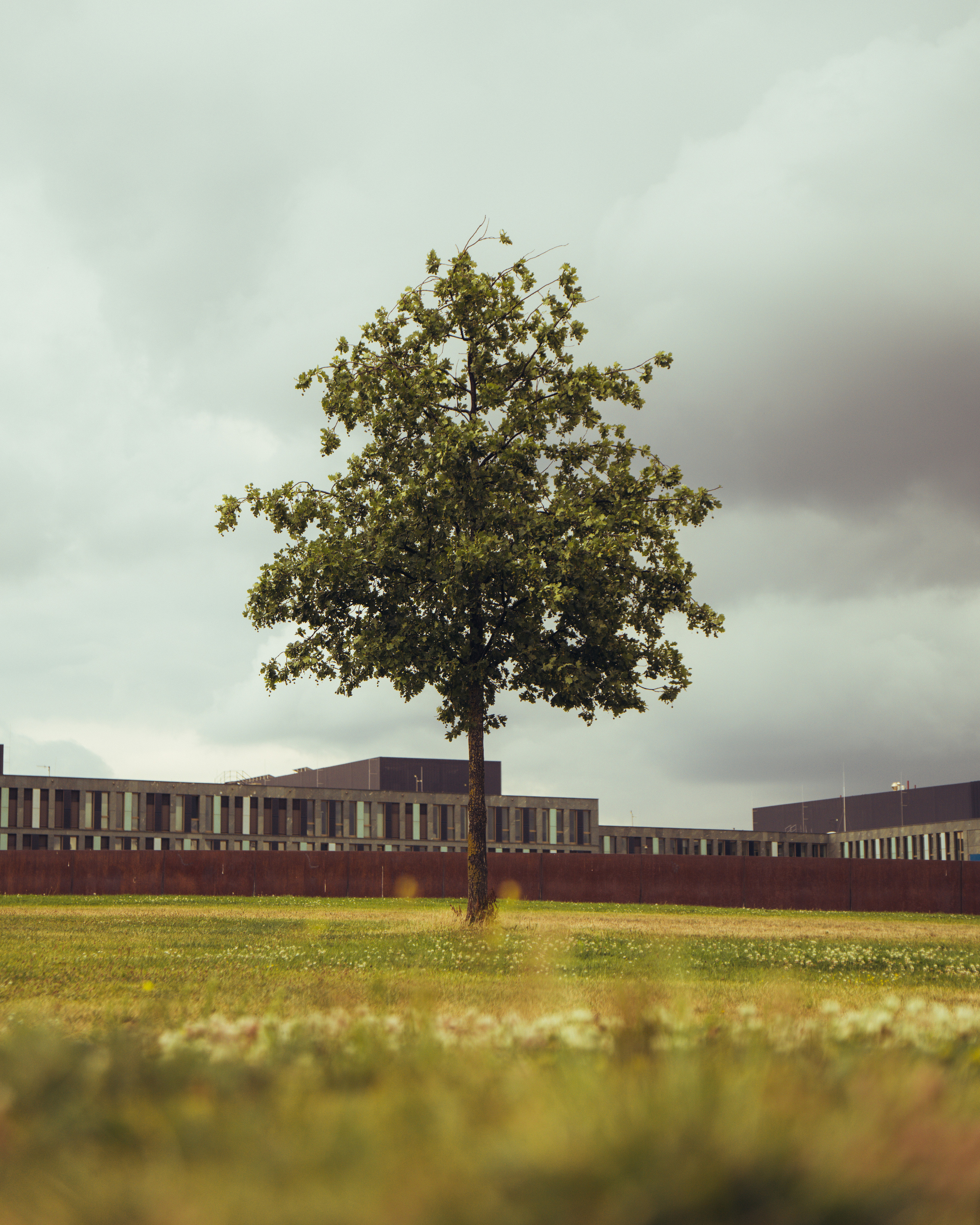 Cityscapes. Evgeny Ignatik — street photographer | portraits