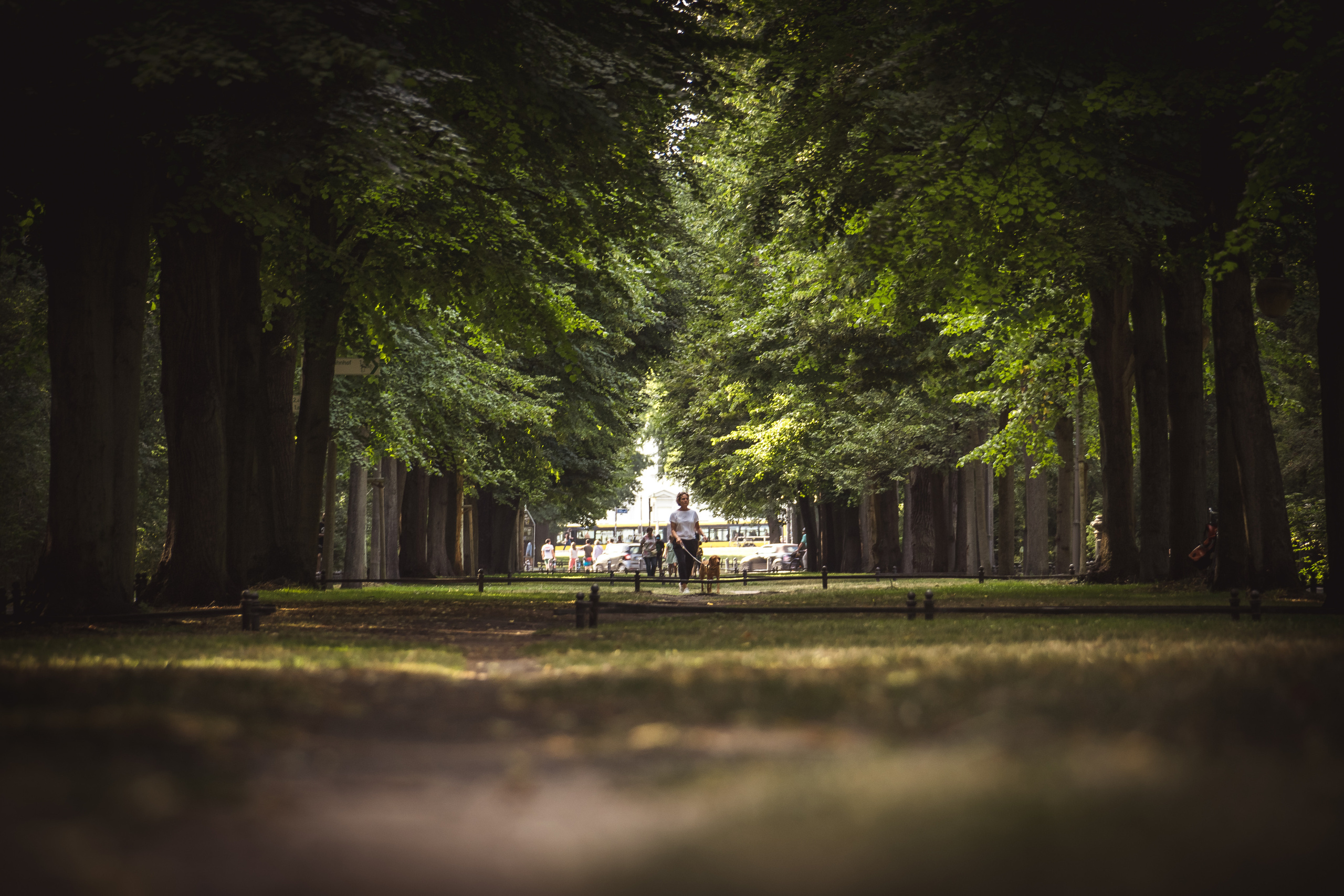 Berlin parks. Evgeny Ignatik — street photographer | portraits