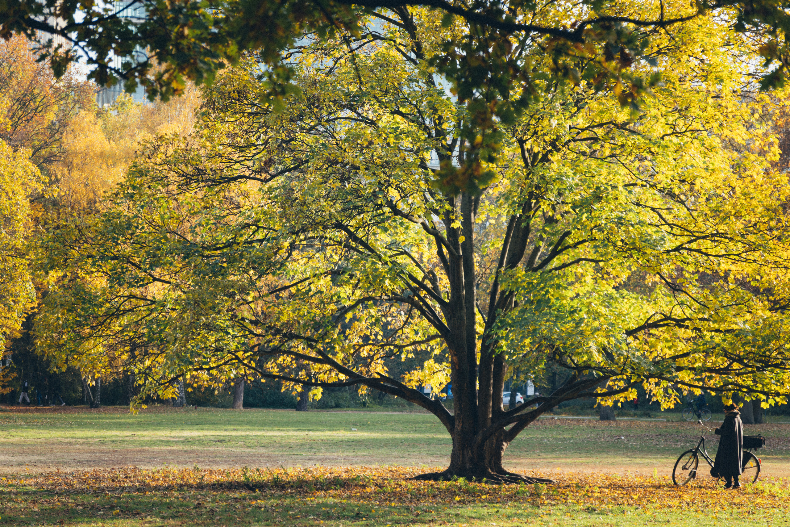 Flora. Evgeny Ignatik — street photographer | portraits