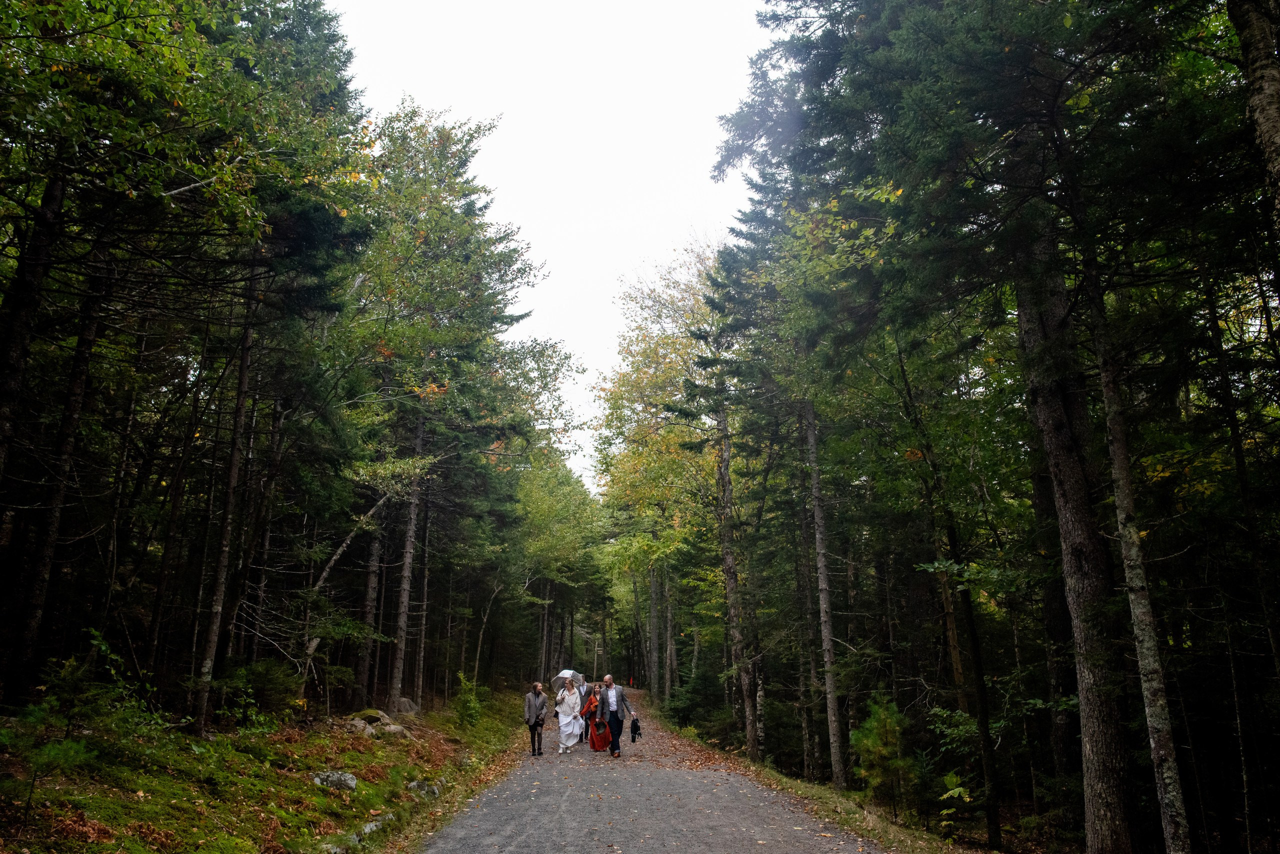 A + M. Wedding photographer in Orlando, Boston & New York Anderson Marques