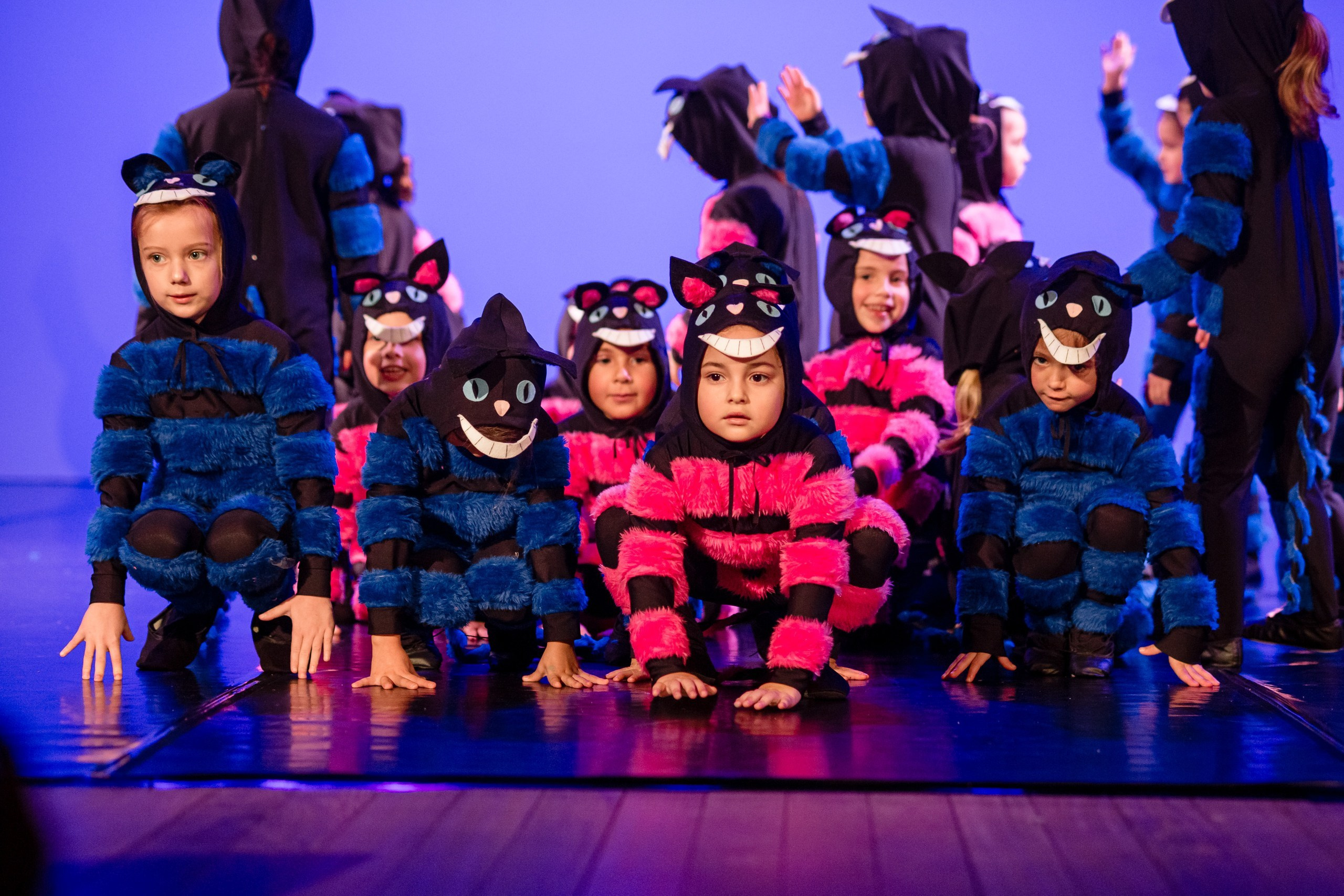 Espetáculo Teatral Alice no País das Maravilhas — Recriarte