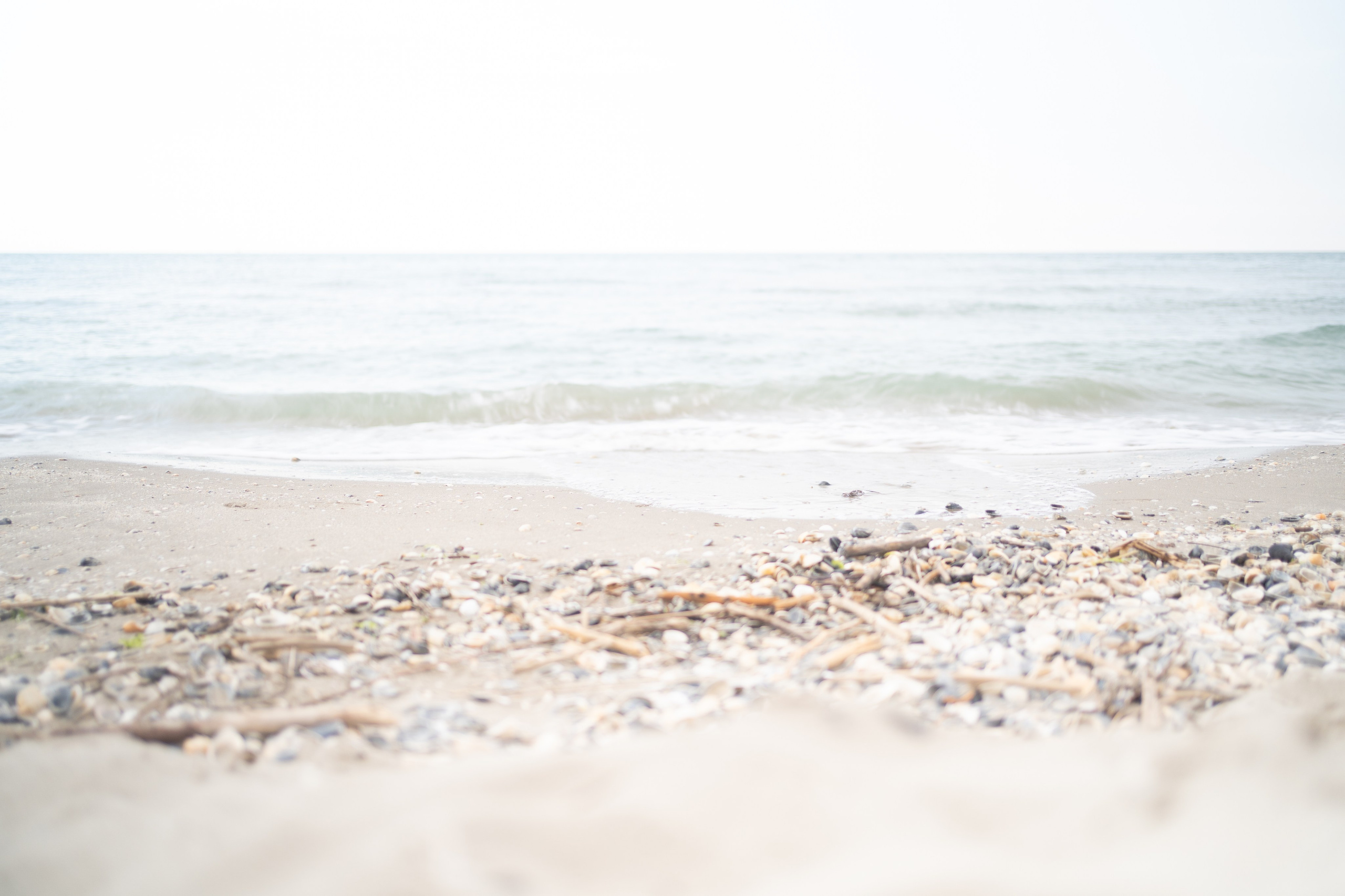 Blastema. Fotografia e video