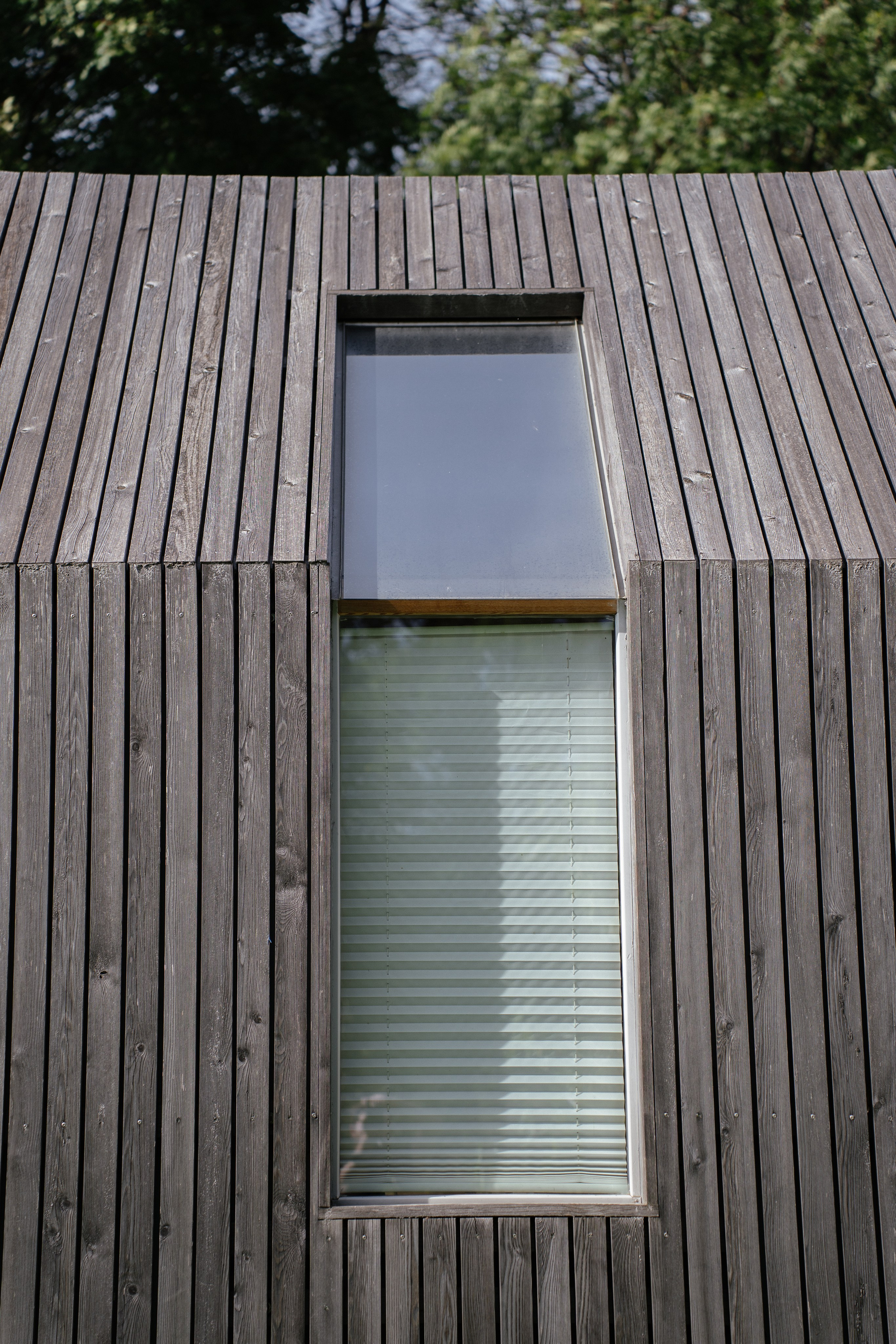 Airbnb. Patricia Morenci — Mountain Adventures for the Wild at Heart