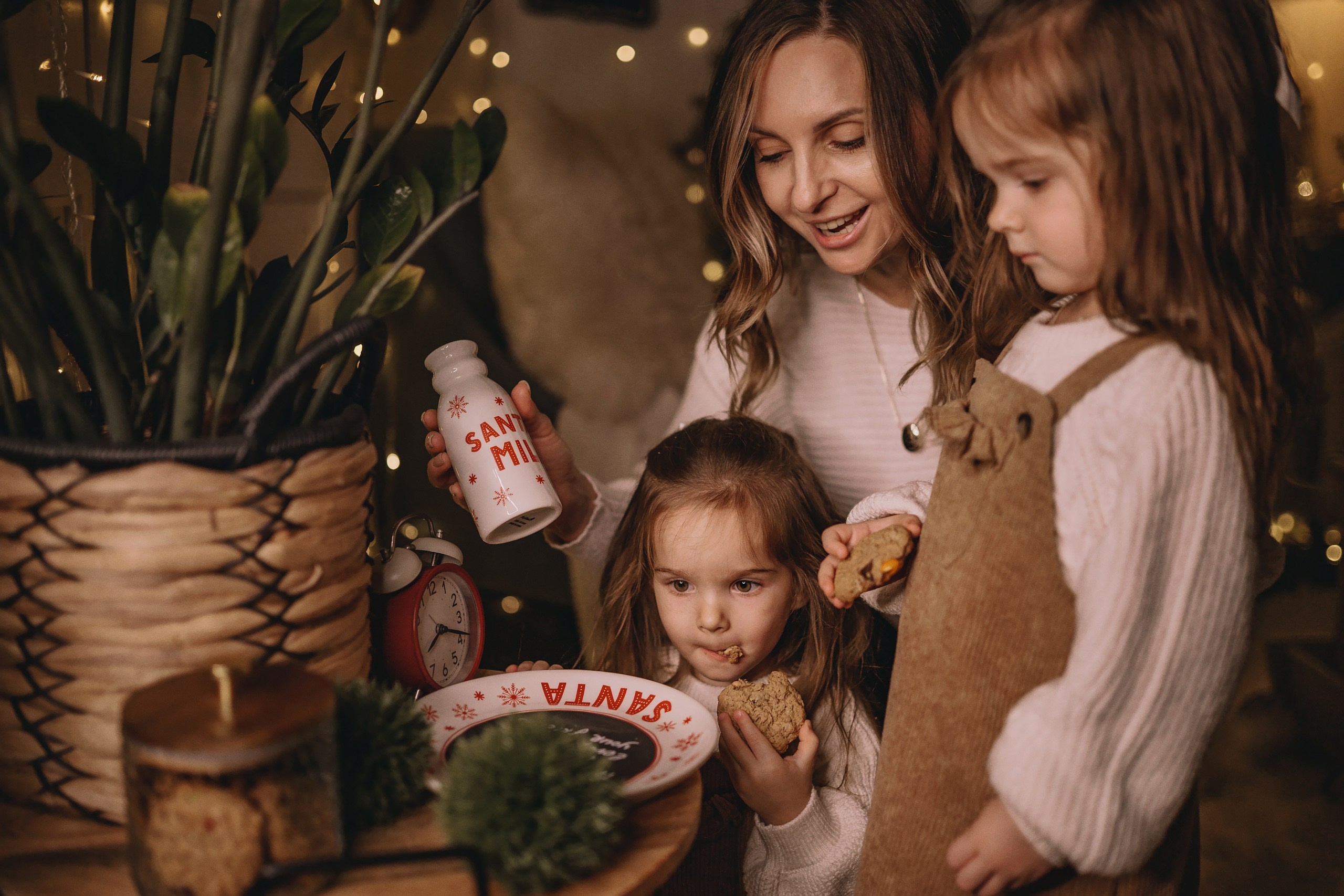 11.26.2025 Christmas Photoshoot. Wedding family event photographer in Chicago Nick Yushevich