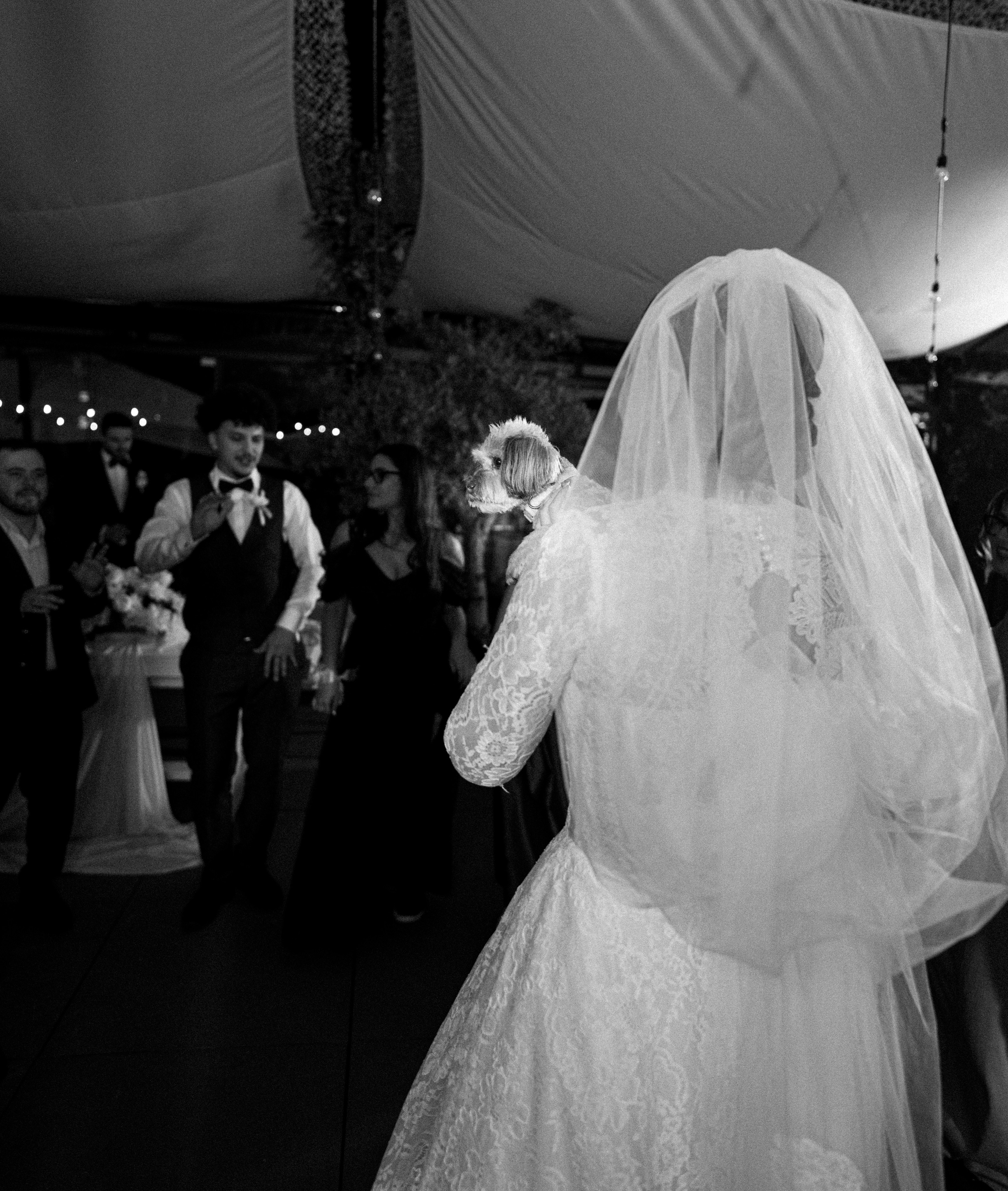 Nuntă la Zion Garden | Maria & Robert | Fotolense