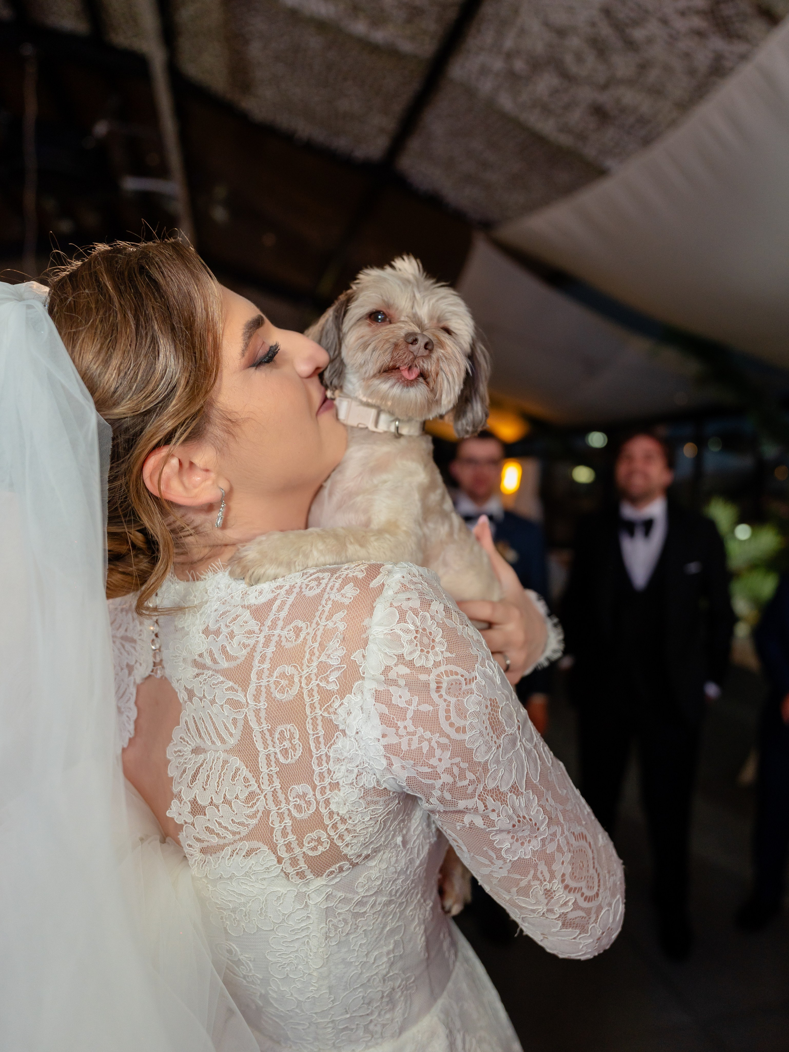 Nuntă la Zion Garden | Maria & Robert | Fotolense