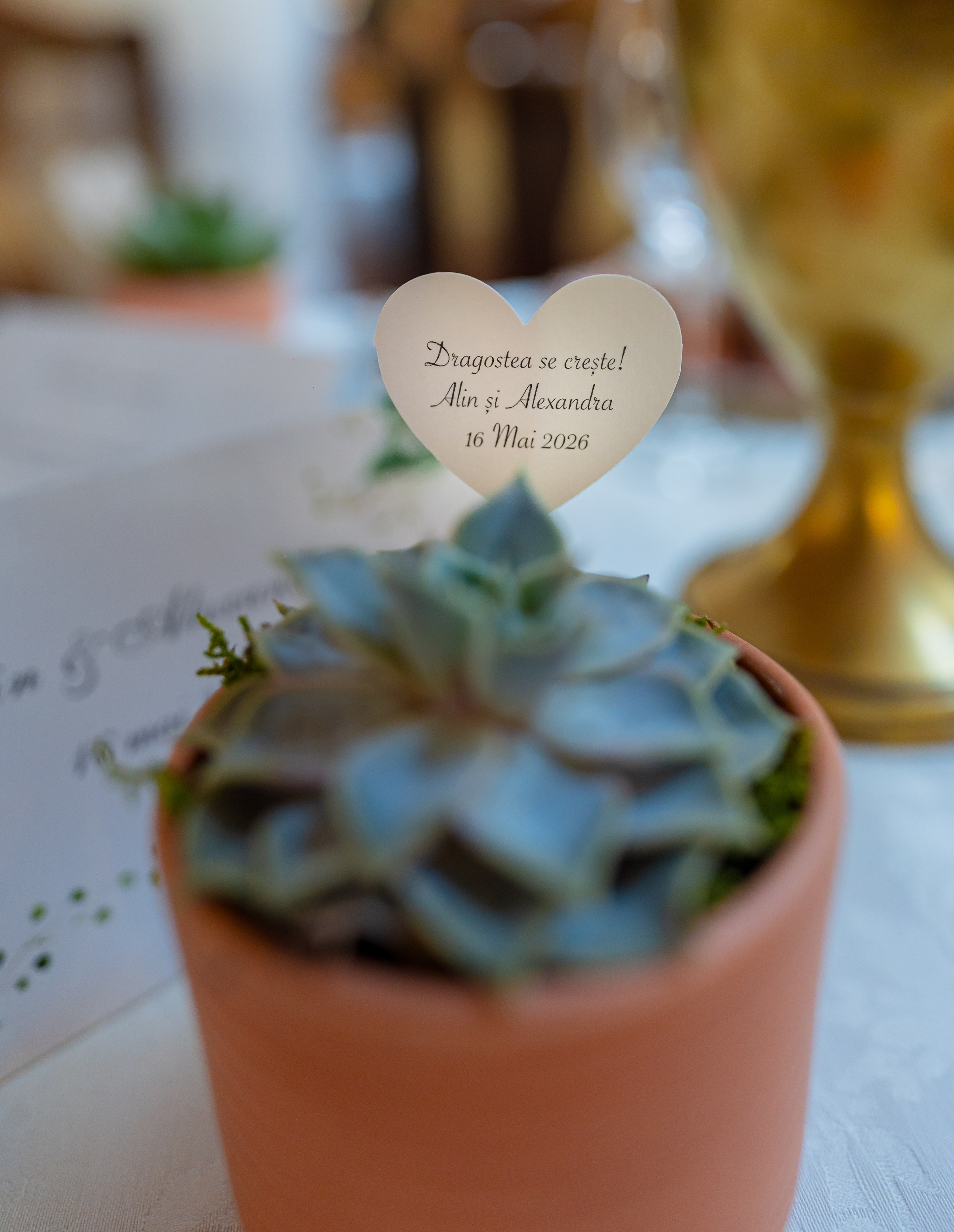 Nuntă la Jaristea Locanta | Alexandra & Alin | Fotolense