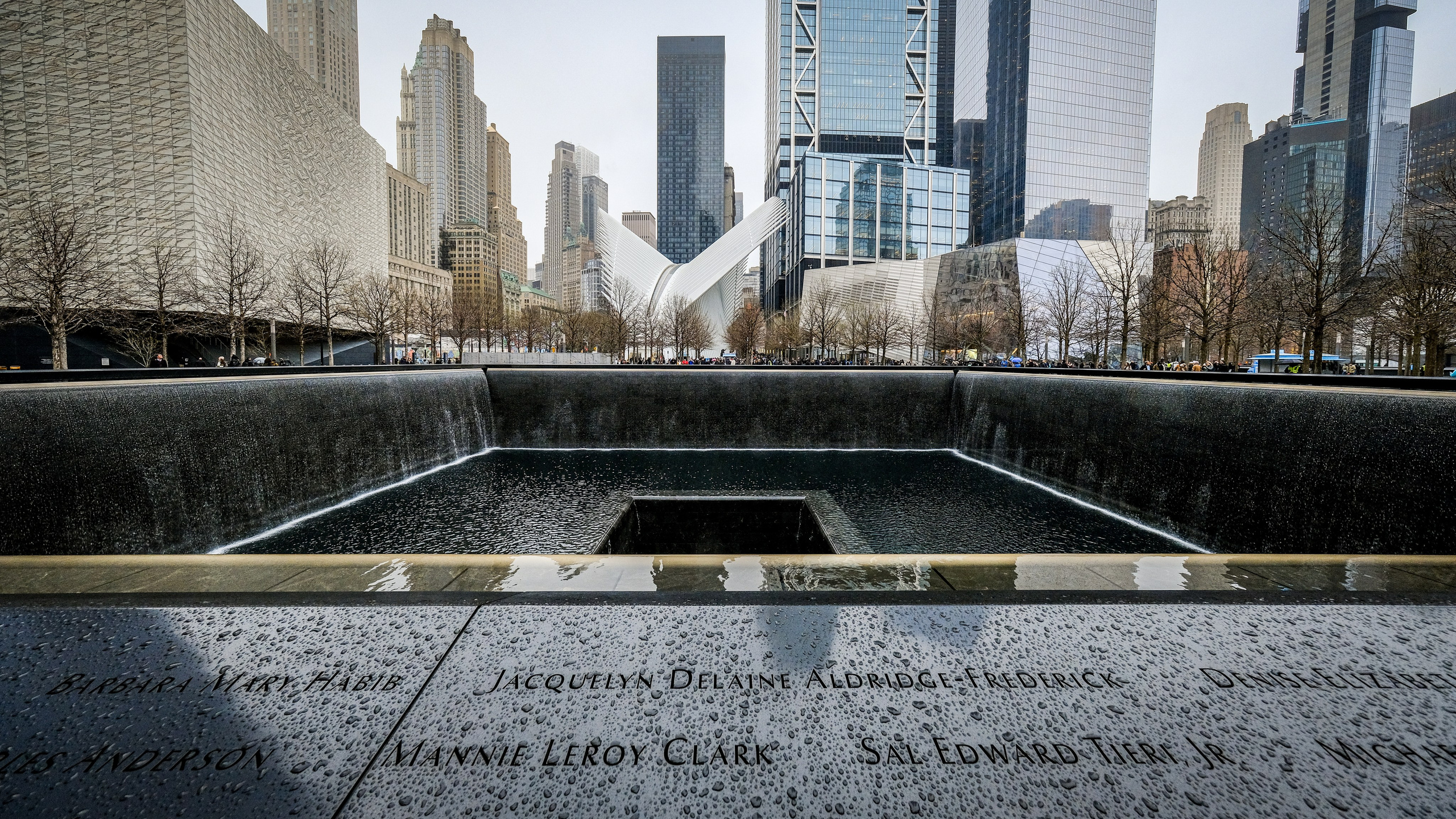 NEW YORK / 2025. Reportage concert portrait photography in the San Francisco Bay Area