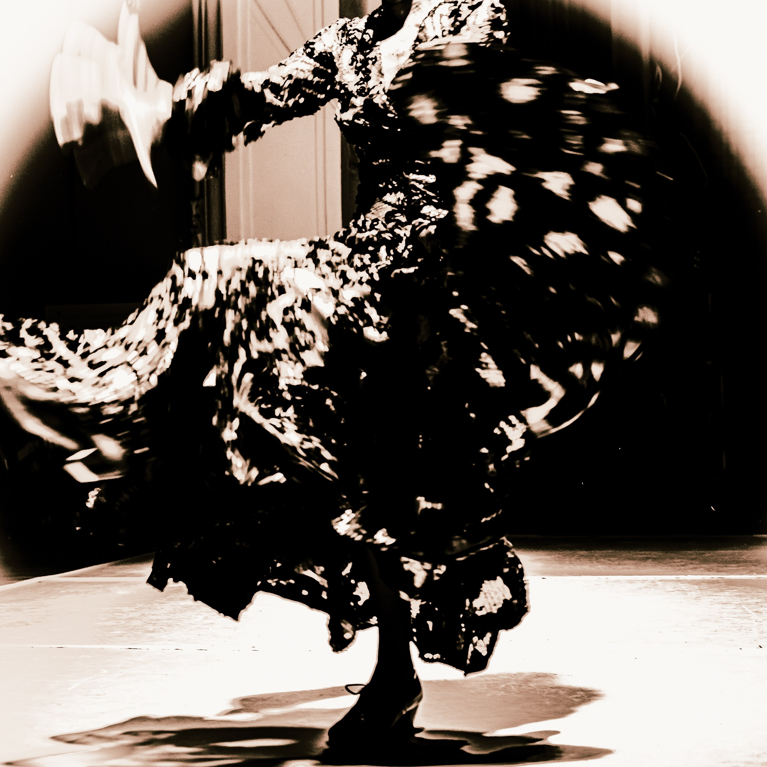 Flamenco spots. Ekaterina Tsurkina-Appina Photography Canada