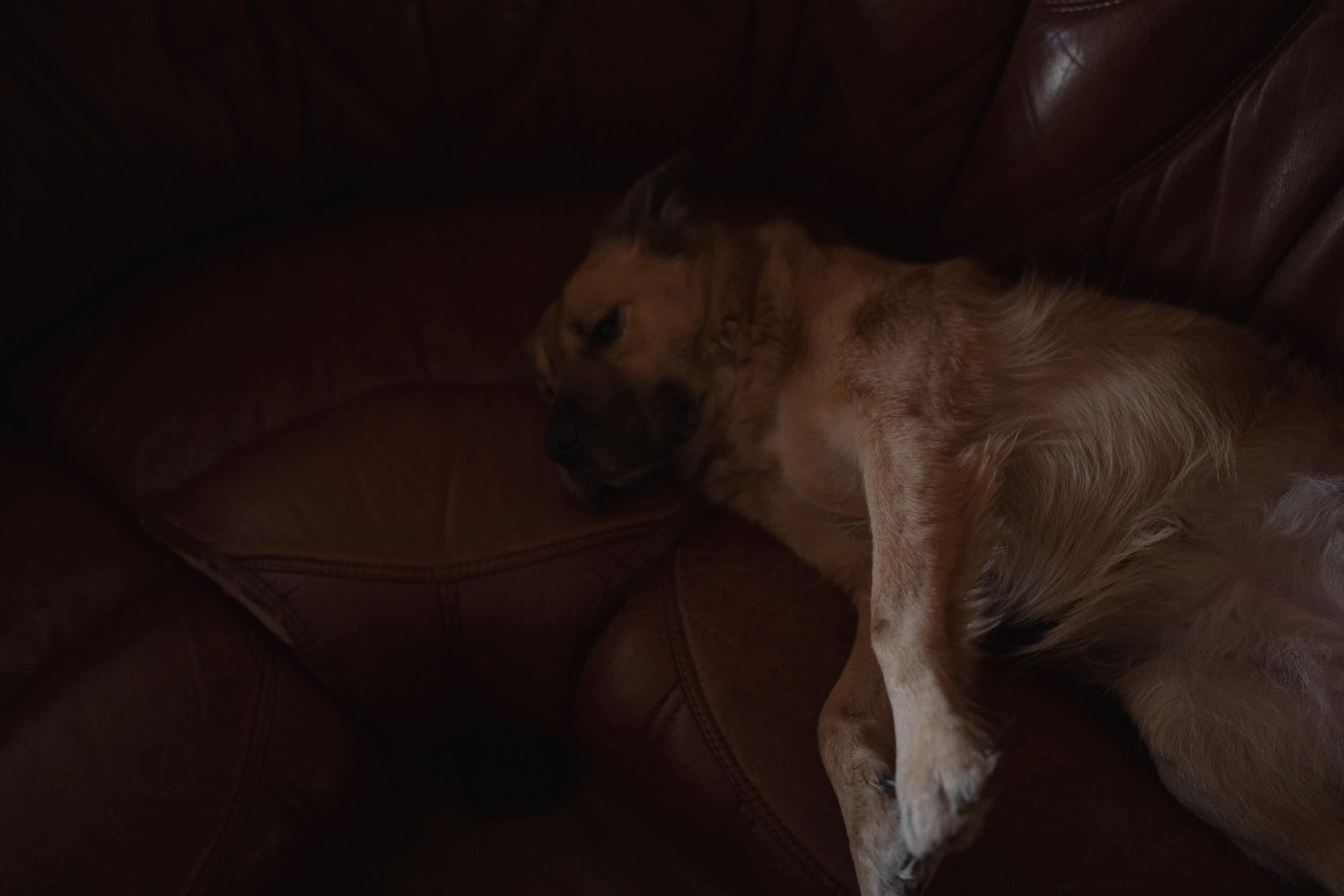 Alena, Vlad and their son Lev. Main