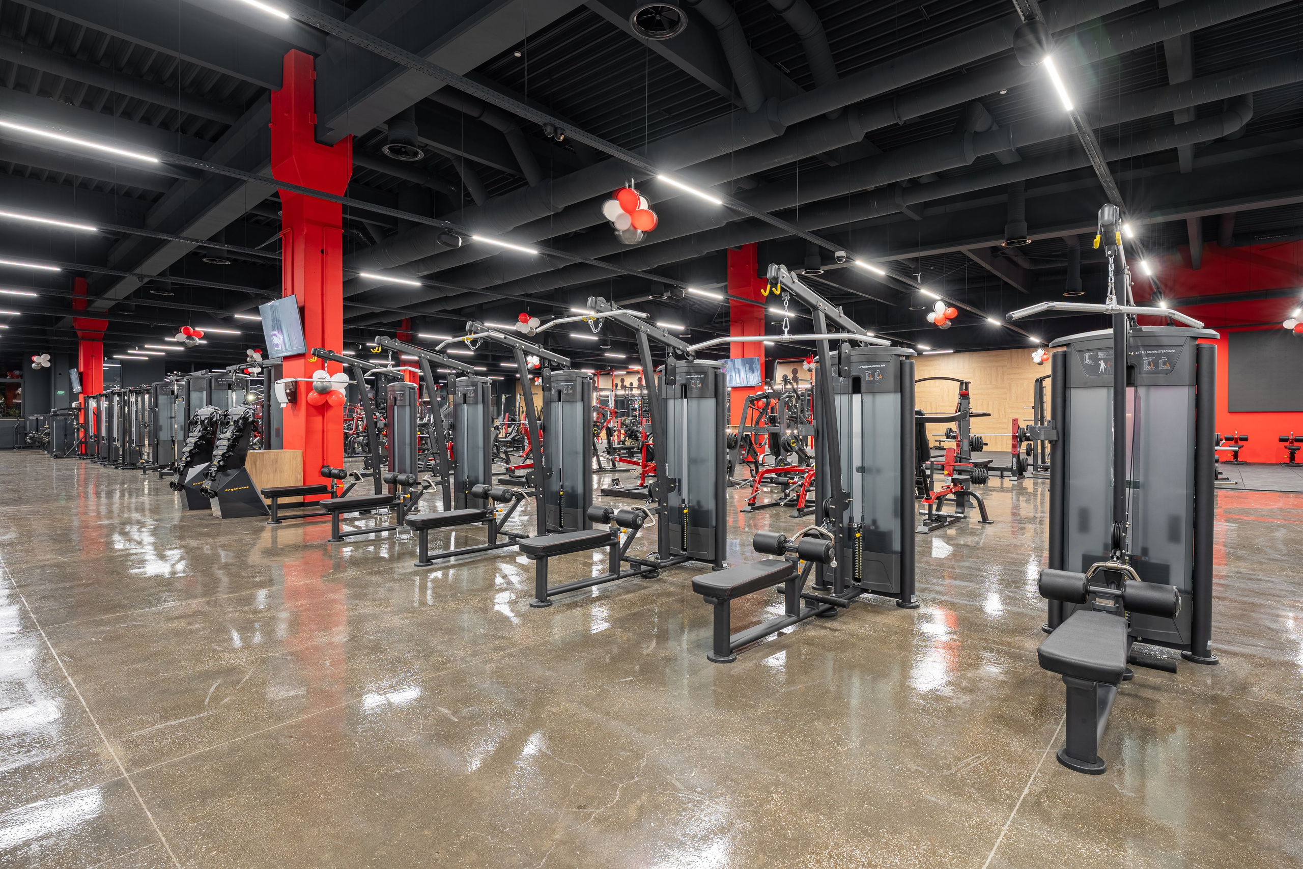 WEST GYM PARK MAXX. Професионален фотограф в Пловдив и областта