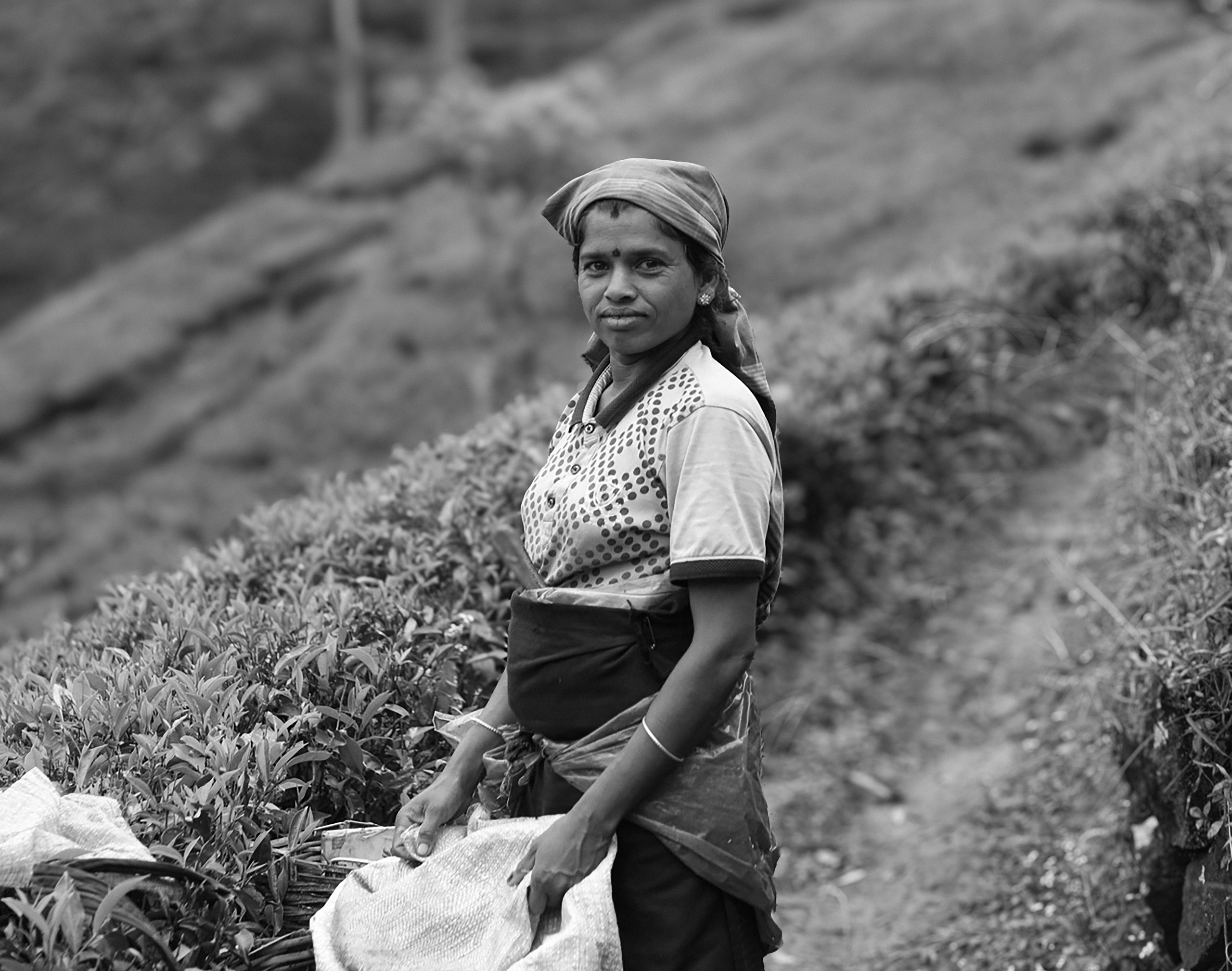 SRI LANKA. Photographe Karen Tatevosian