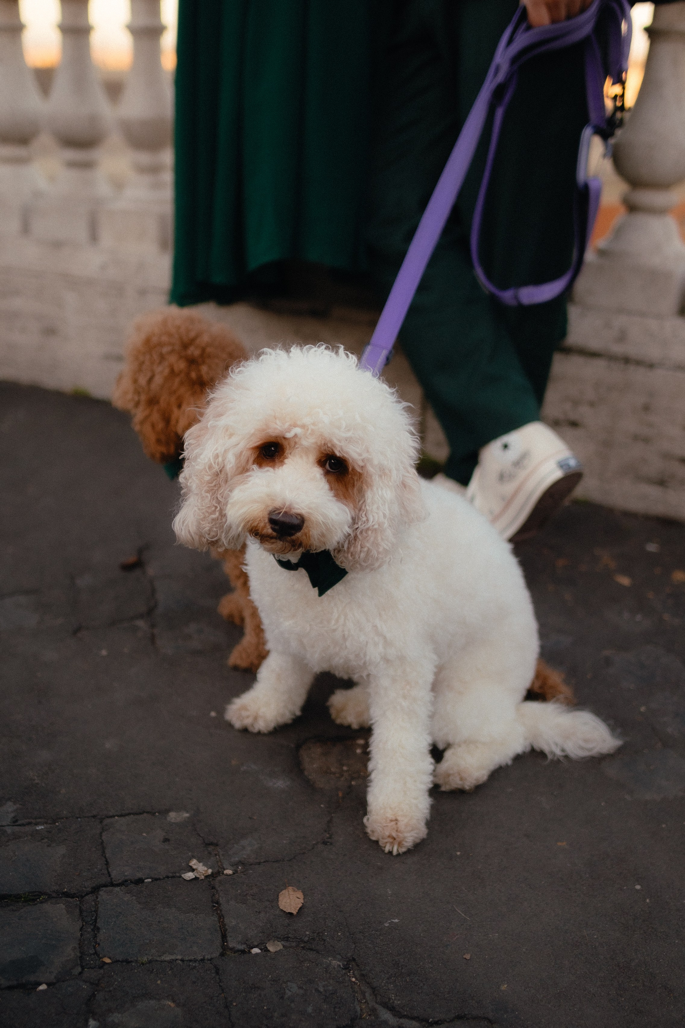 Lorenza & CJ. Фотограф в Милане Анна Линник