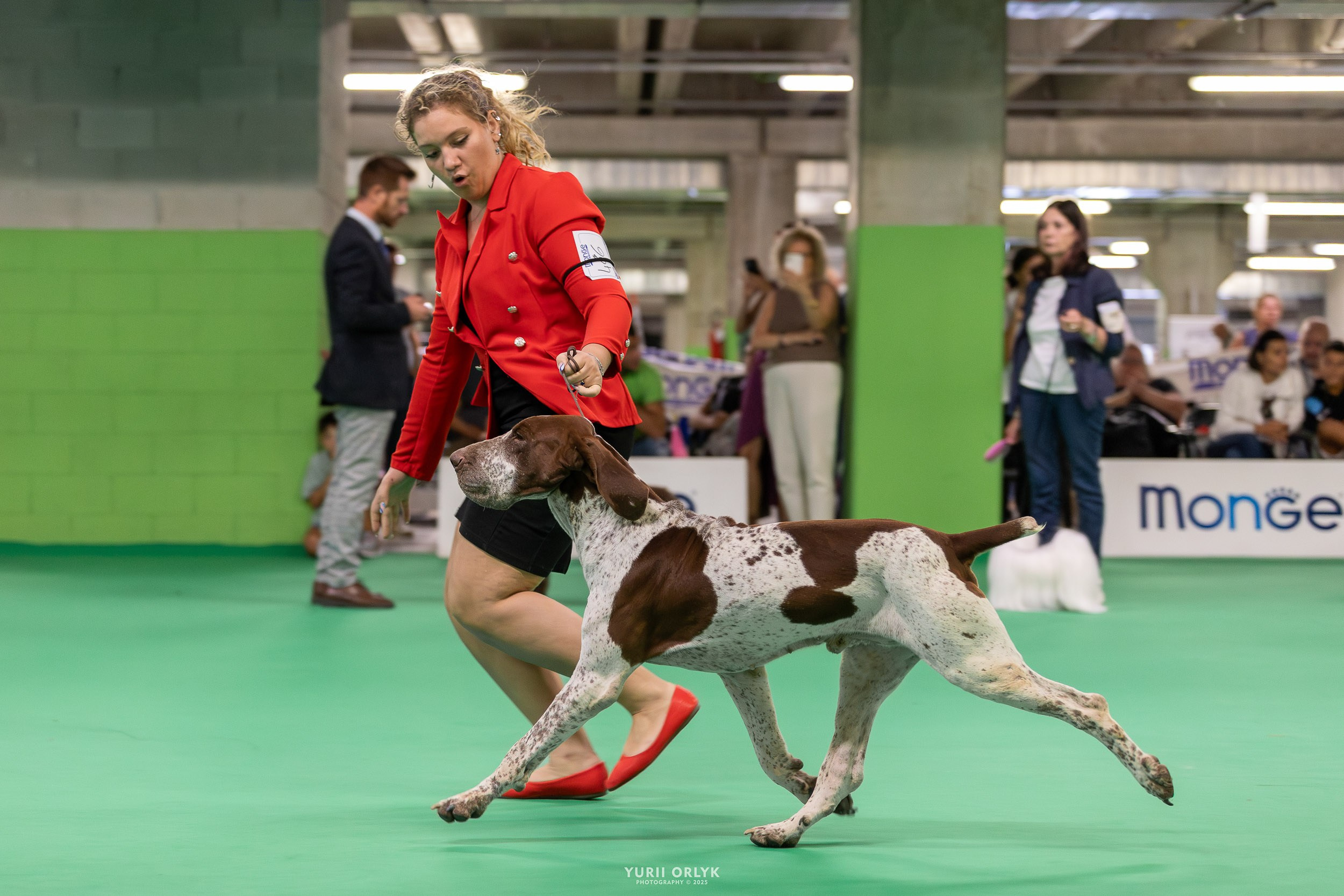 Dog Shows. Yurii Orlyk Photography