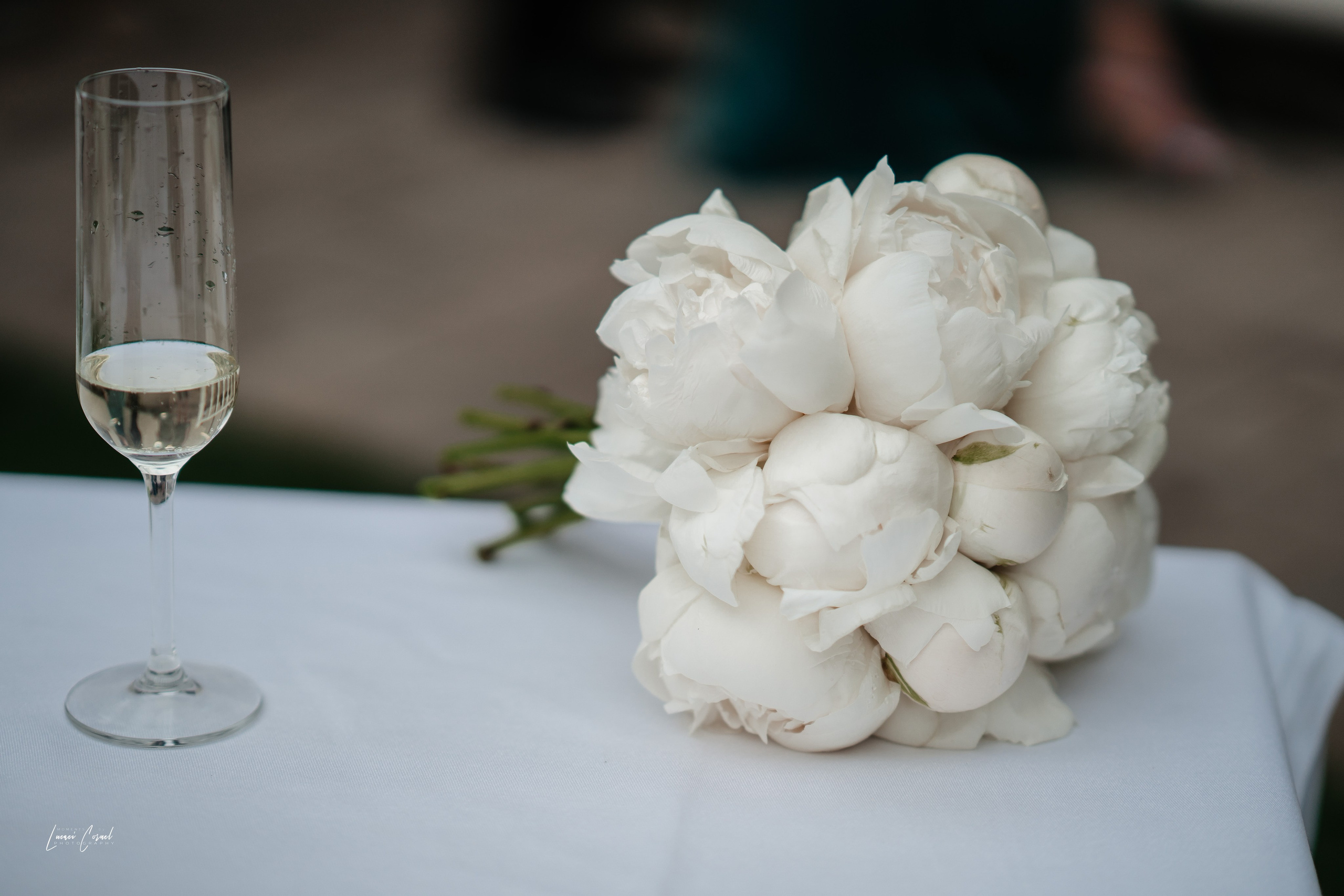 Adina & Alexandru – Nuntă elegantă în Roman. Fotograf de nuntă, corporate, botezuri, majorate și aniversări Roman, Lucaci Cornel