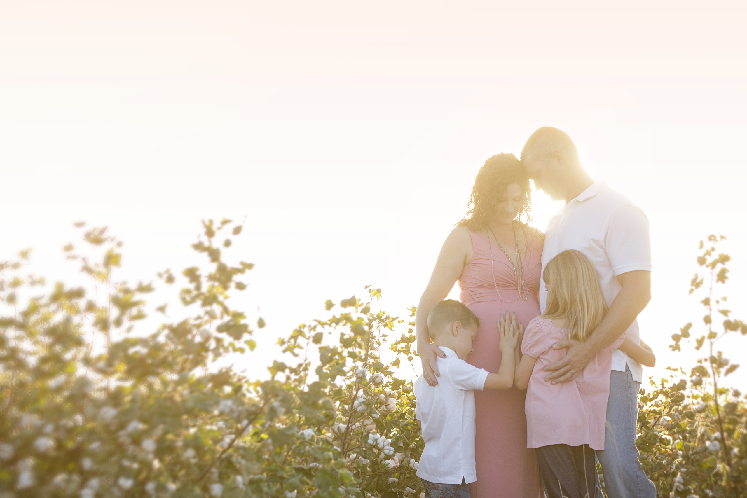 Wendy Castro. Anastasia Post: Wedding and Editorial Photography