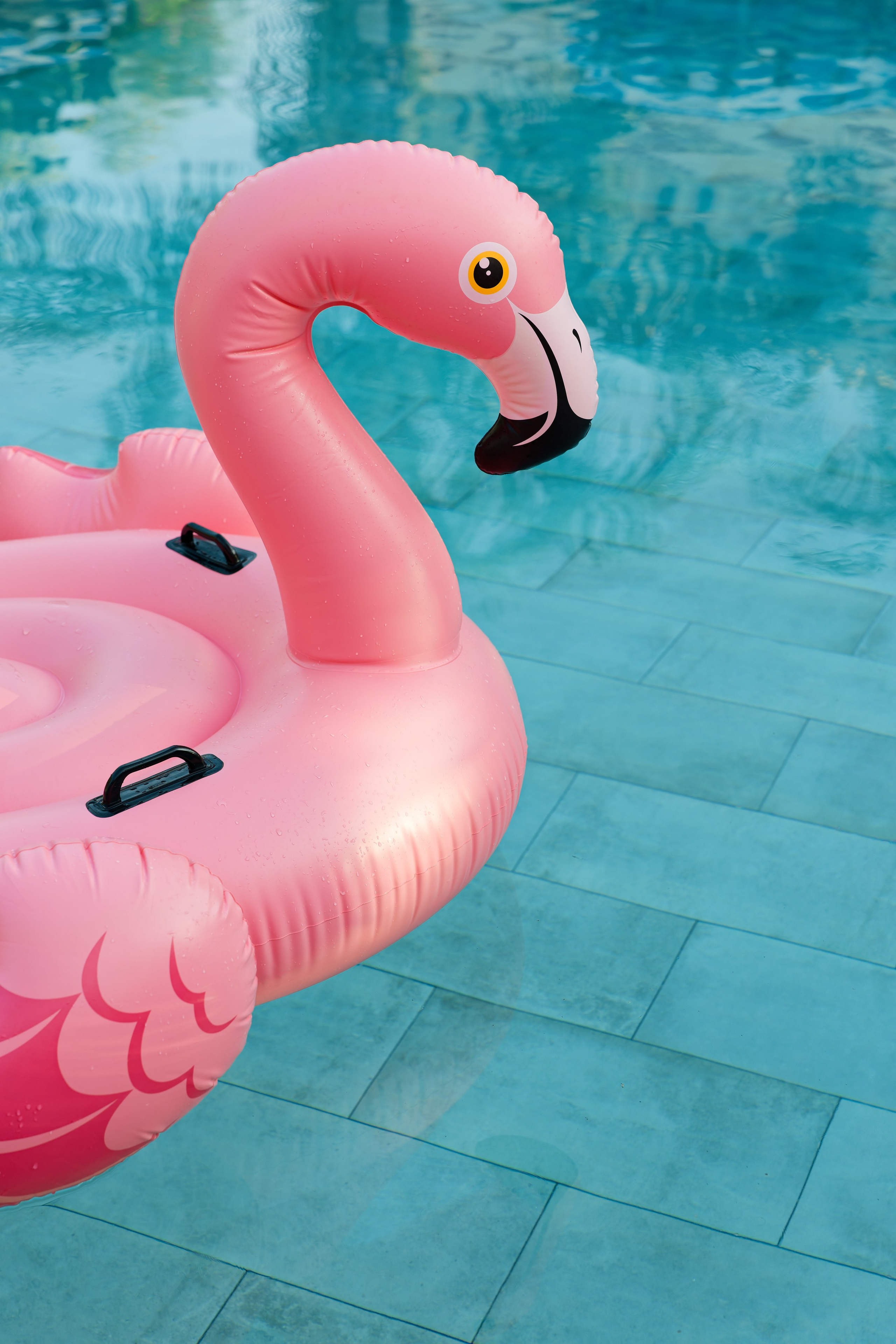 Haldi Ceremony & Mehndi Night & pre-wedding dinner, Barcelona