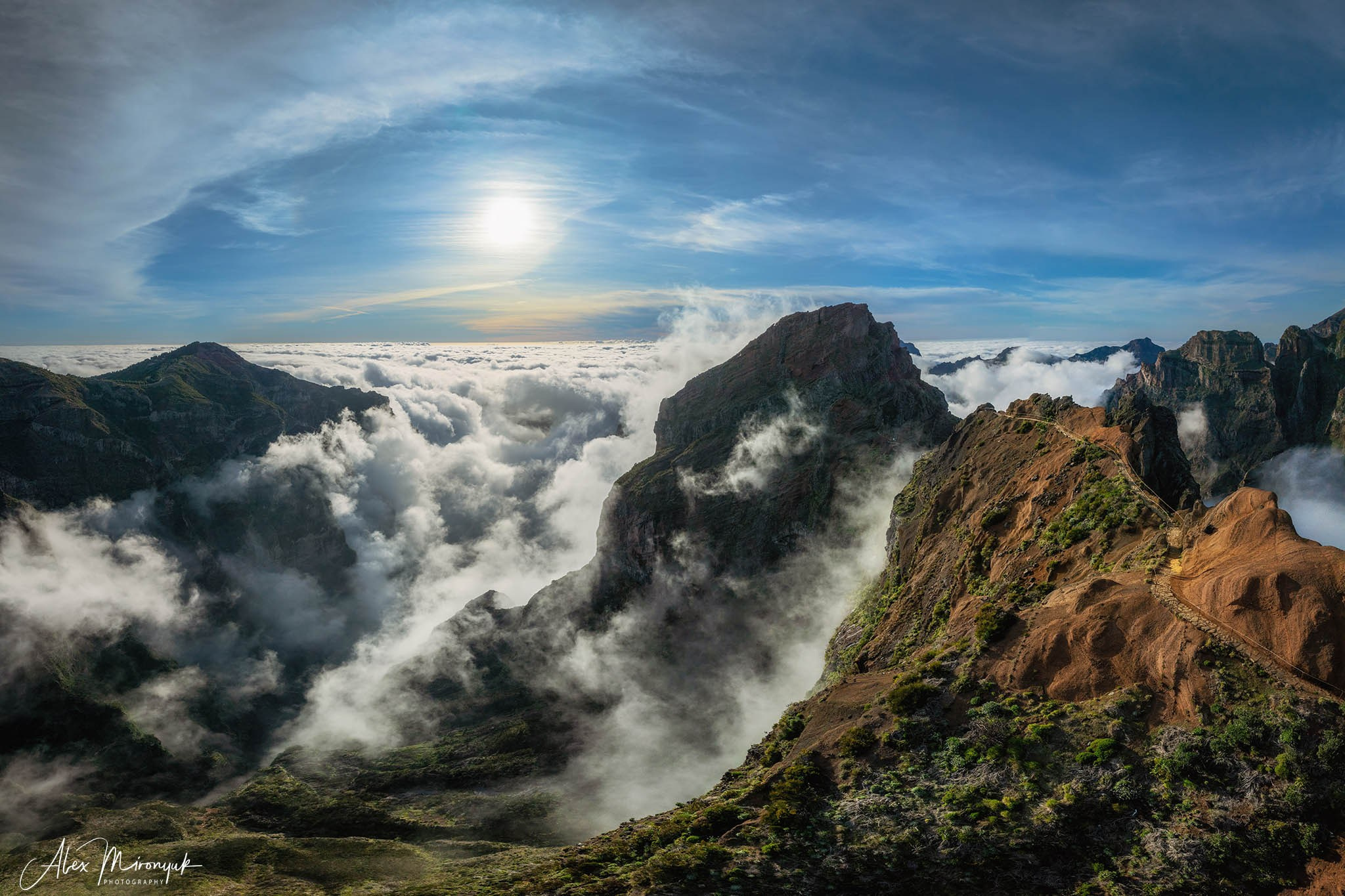 Madeira And Azores. Pet, Senior, Landscape, portrait studio, photographer in Miami and Sou