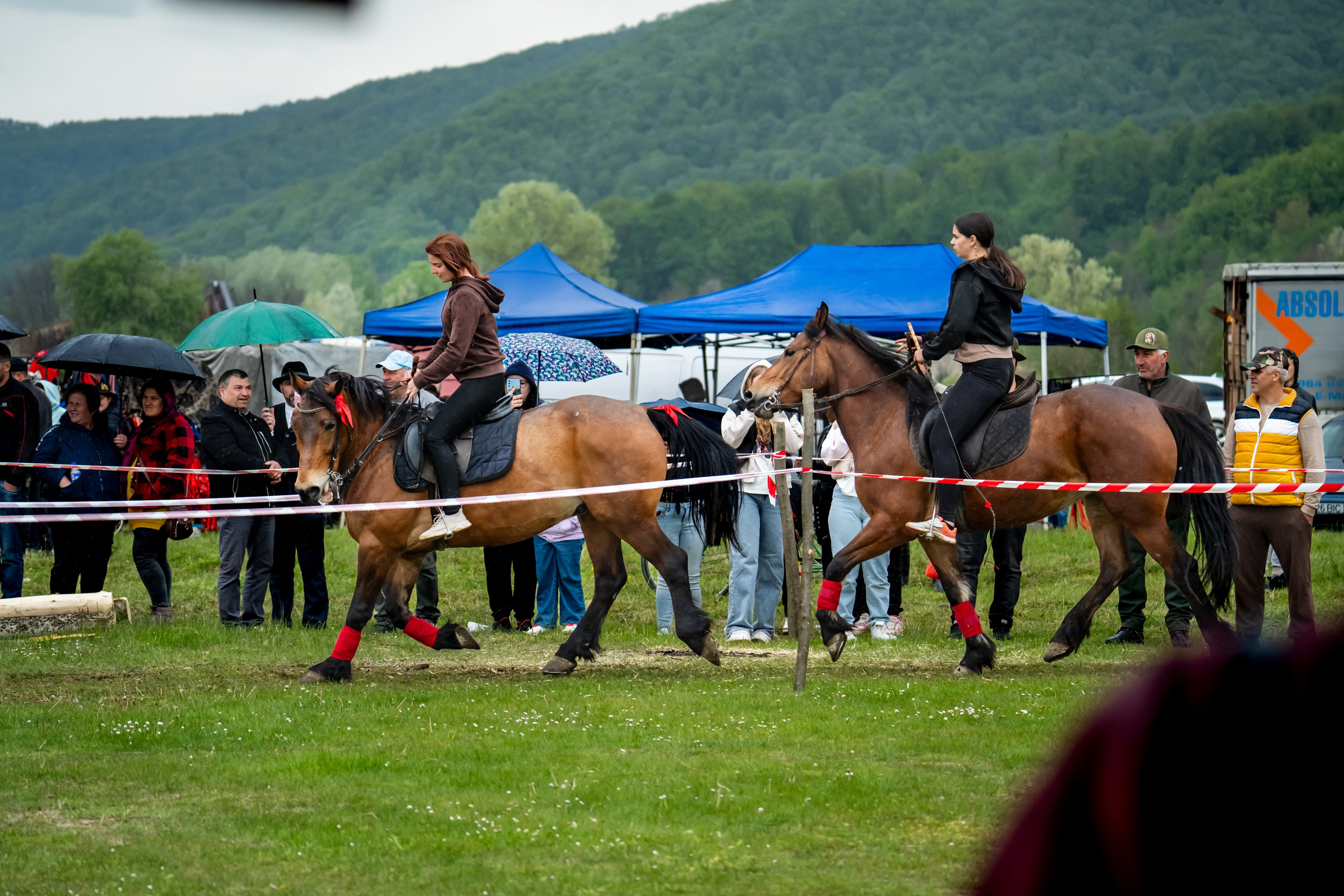 Concurs Ecvestru Vărbilău ediția a 4-a. Mihai Alexandra Events