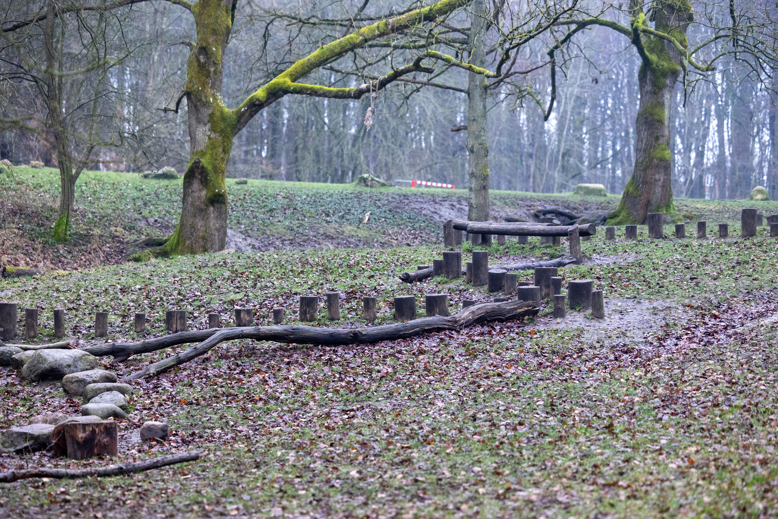 Forår. Fotograf Aarhus | Portrætfoto Århus | Flotte billeder
