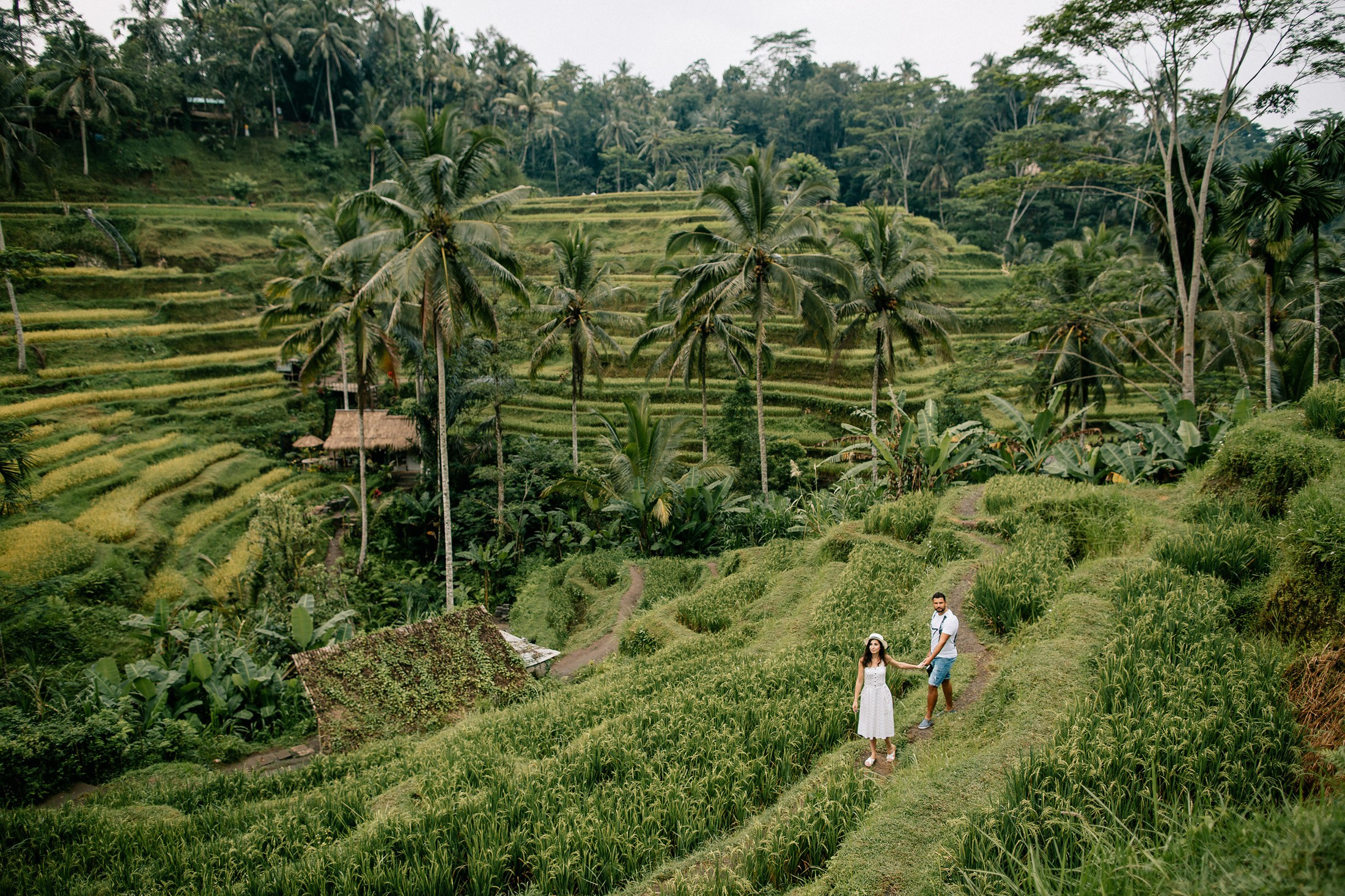 Hotel + Rice terraces. Getitfeel — Aesthetic Photography and Videography