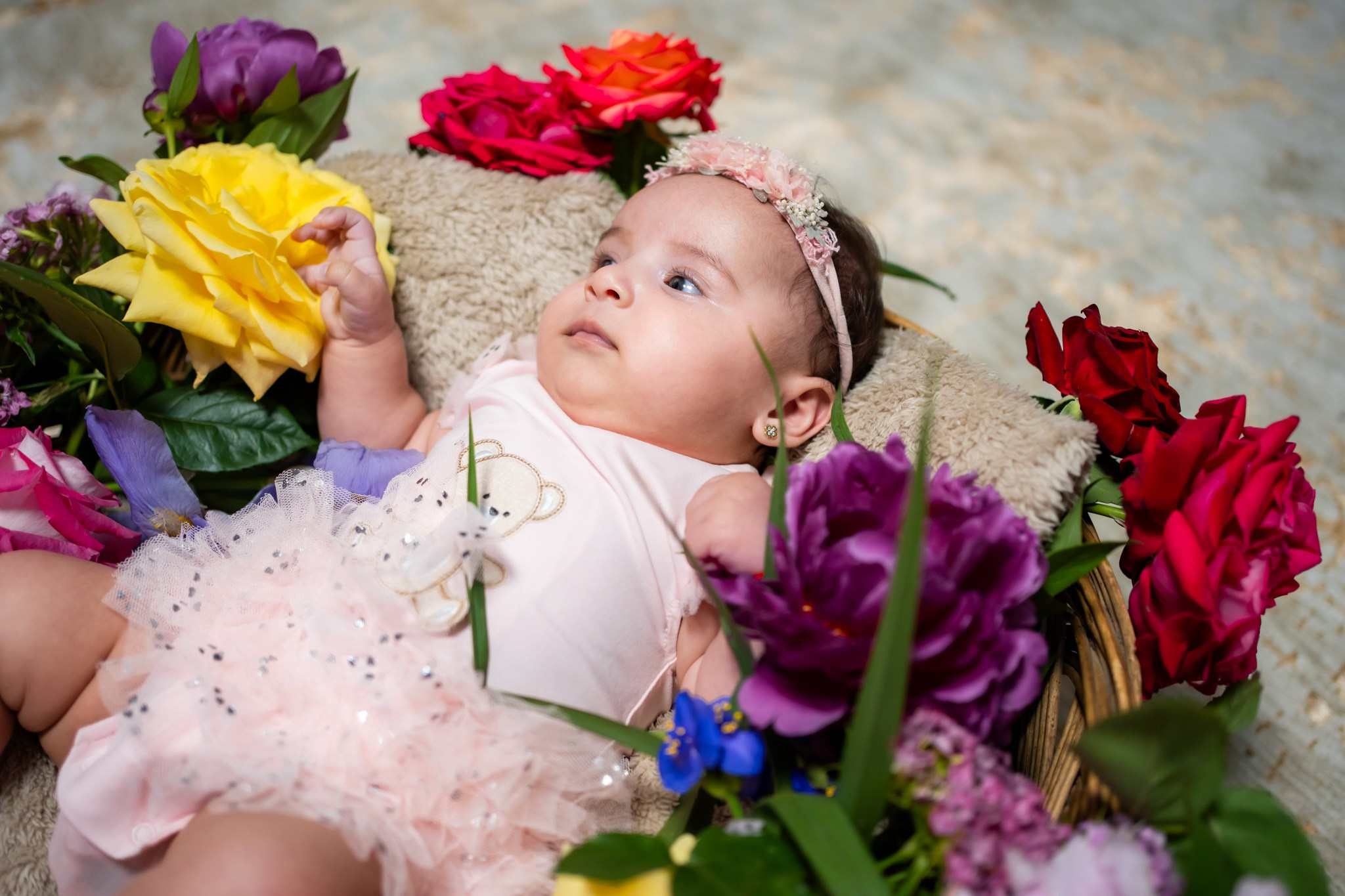 Botez Amalia Ștefania. Cristea Marcel Photographer