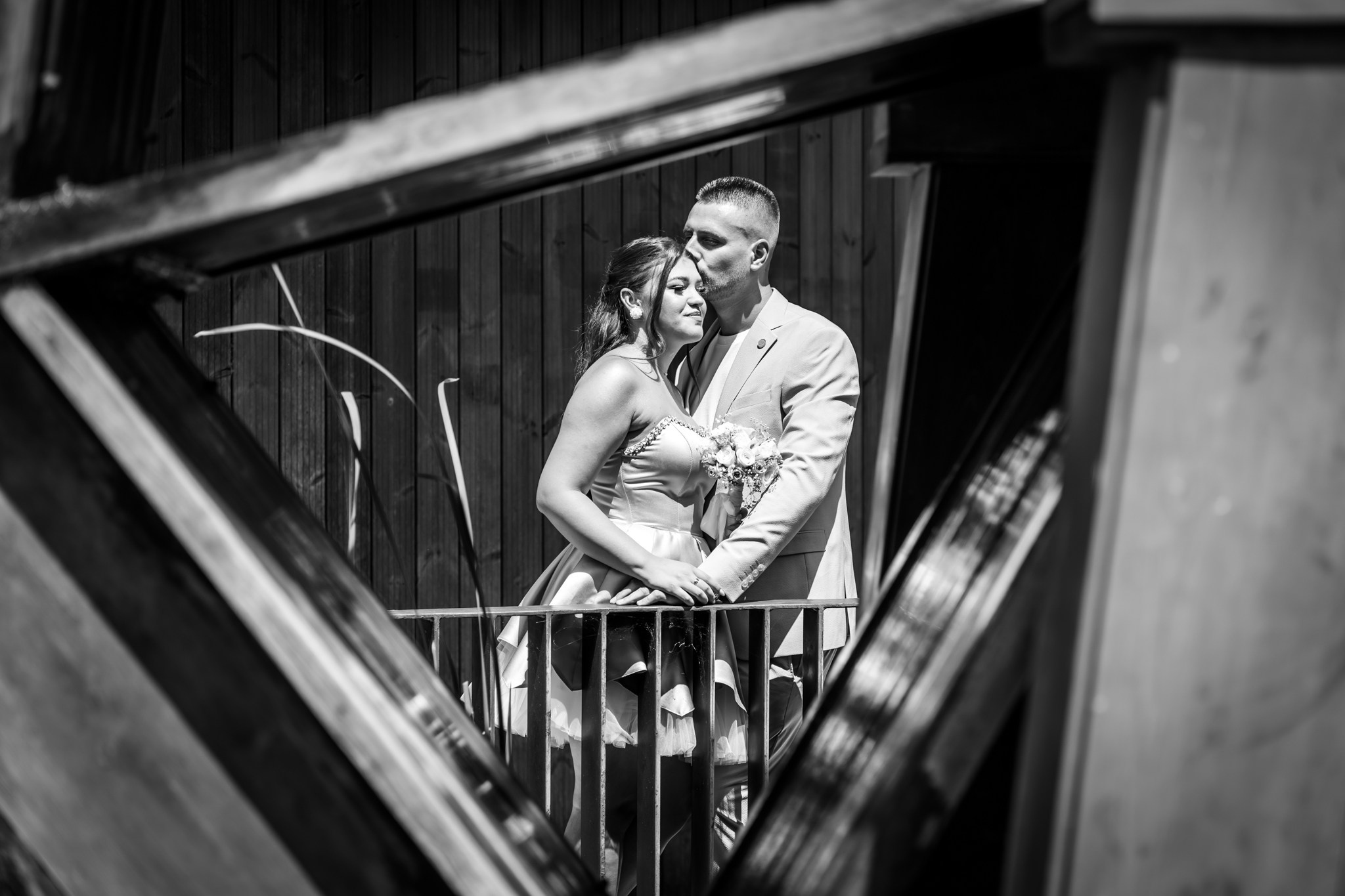 Cristea Marcel Photographer