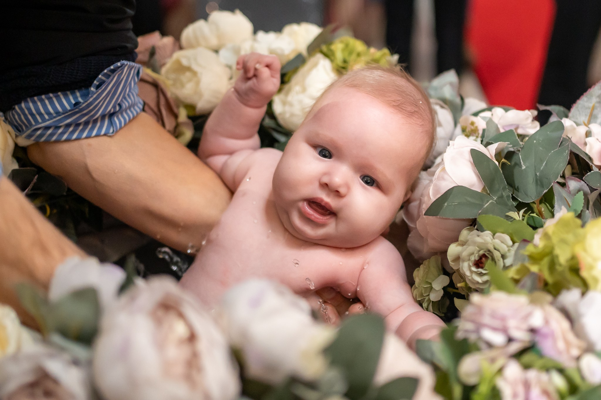 Botez Antonia Maria. Cristea Marcel Photographer
