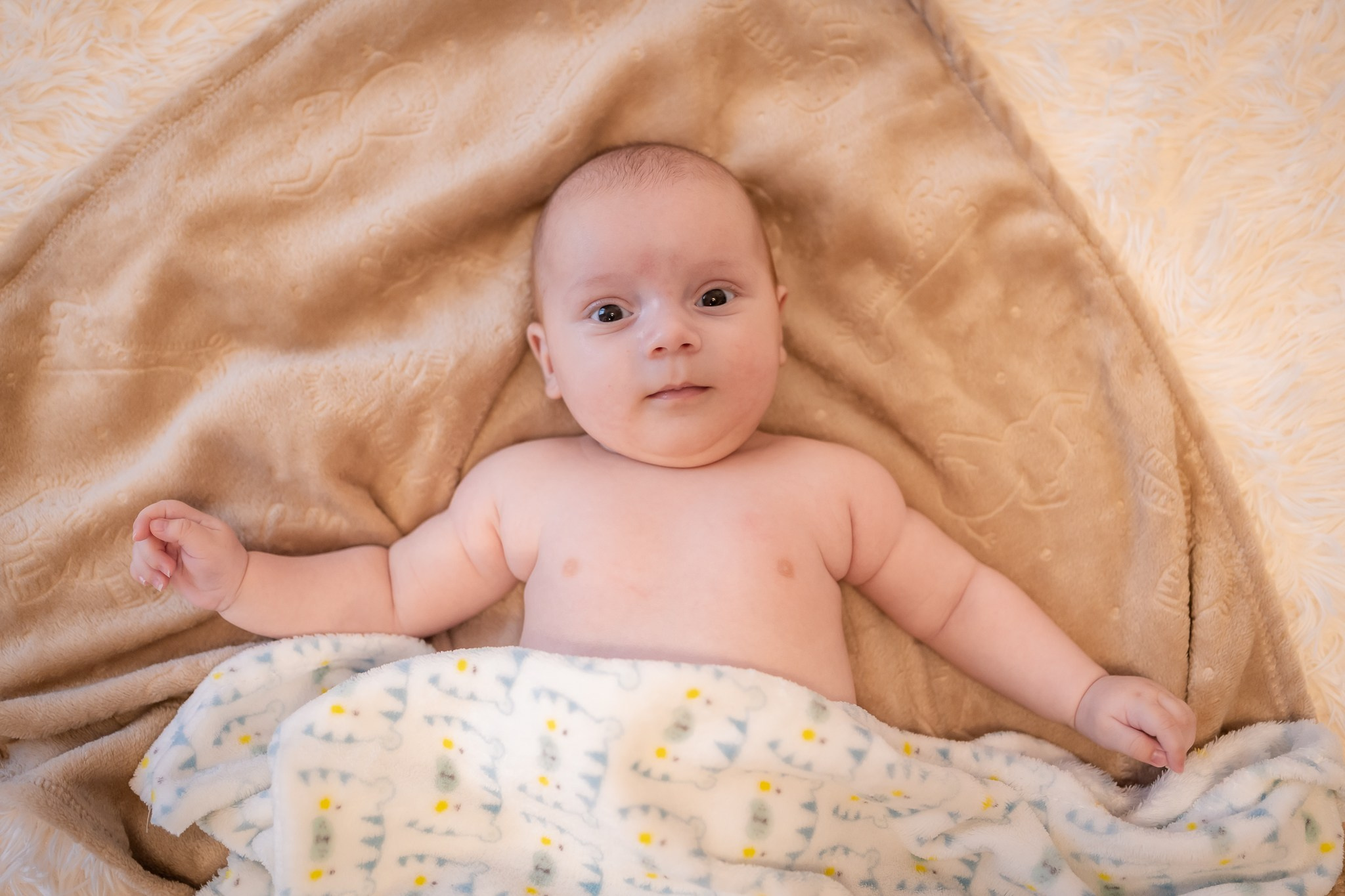 Botez Darius Iulian. Cristea Marcel Photographer