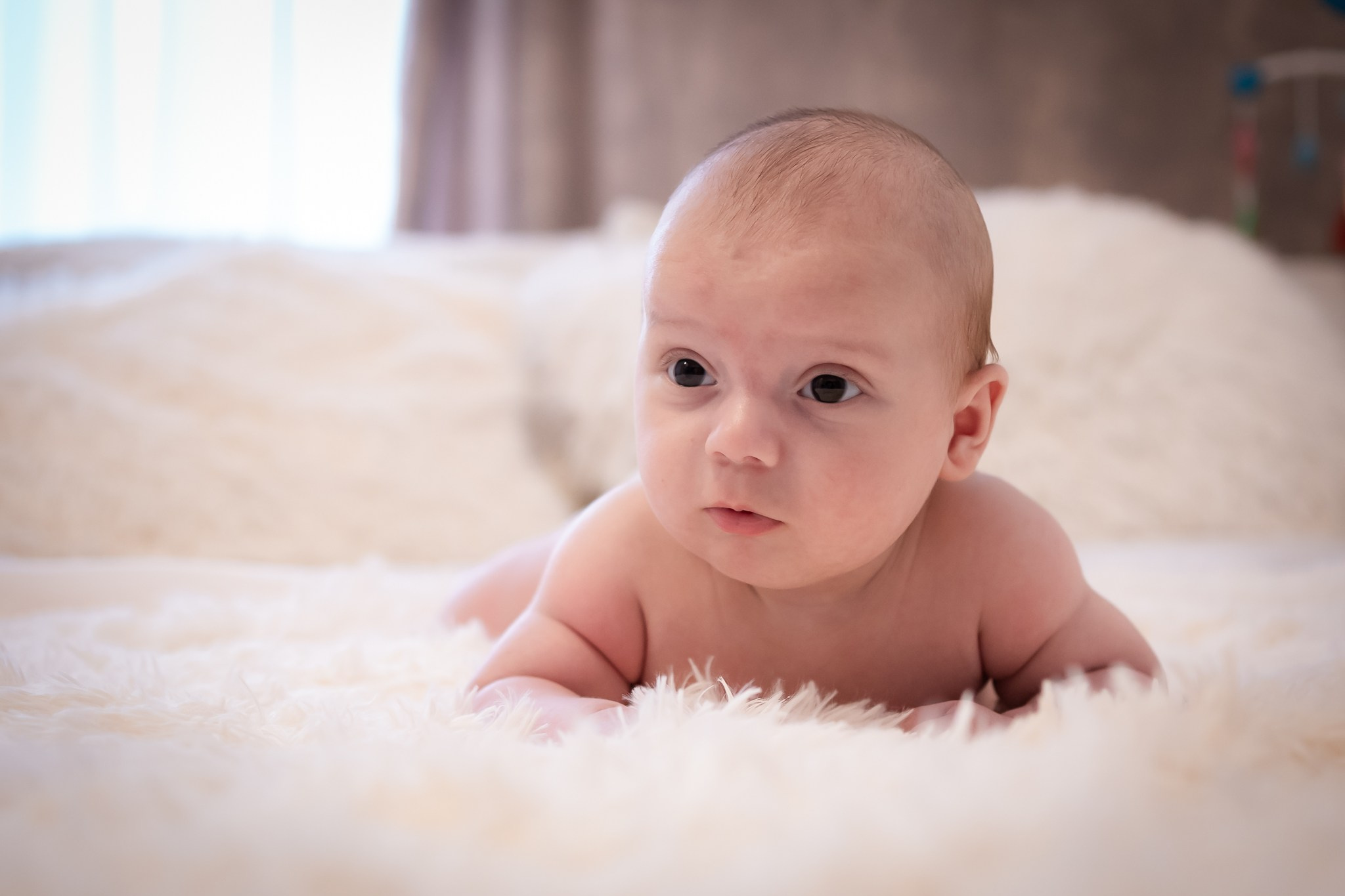 Botez Darius Iulian. Cristea Marcel Photographer