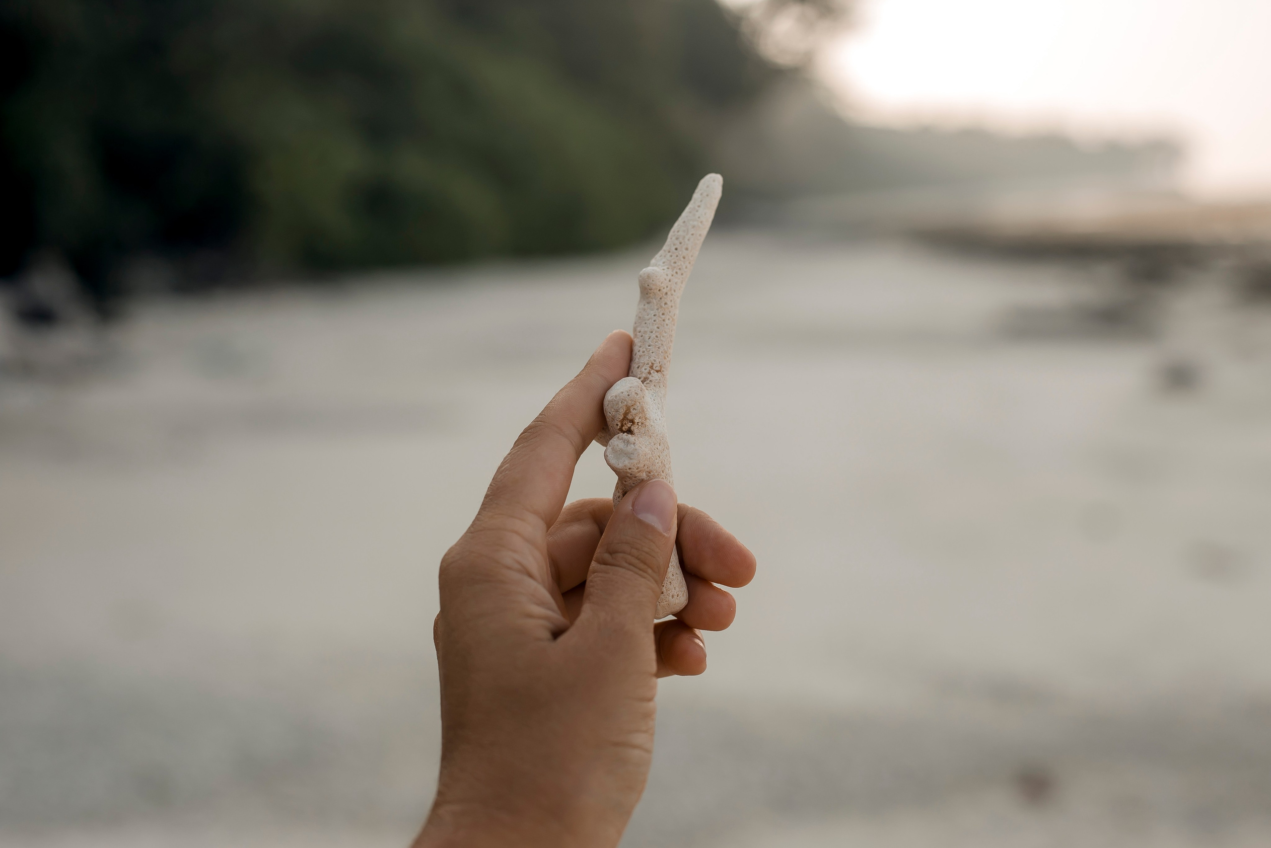 Andaman Islands, Part2. Art Photographer