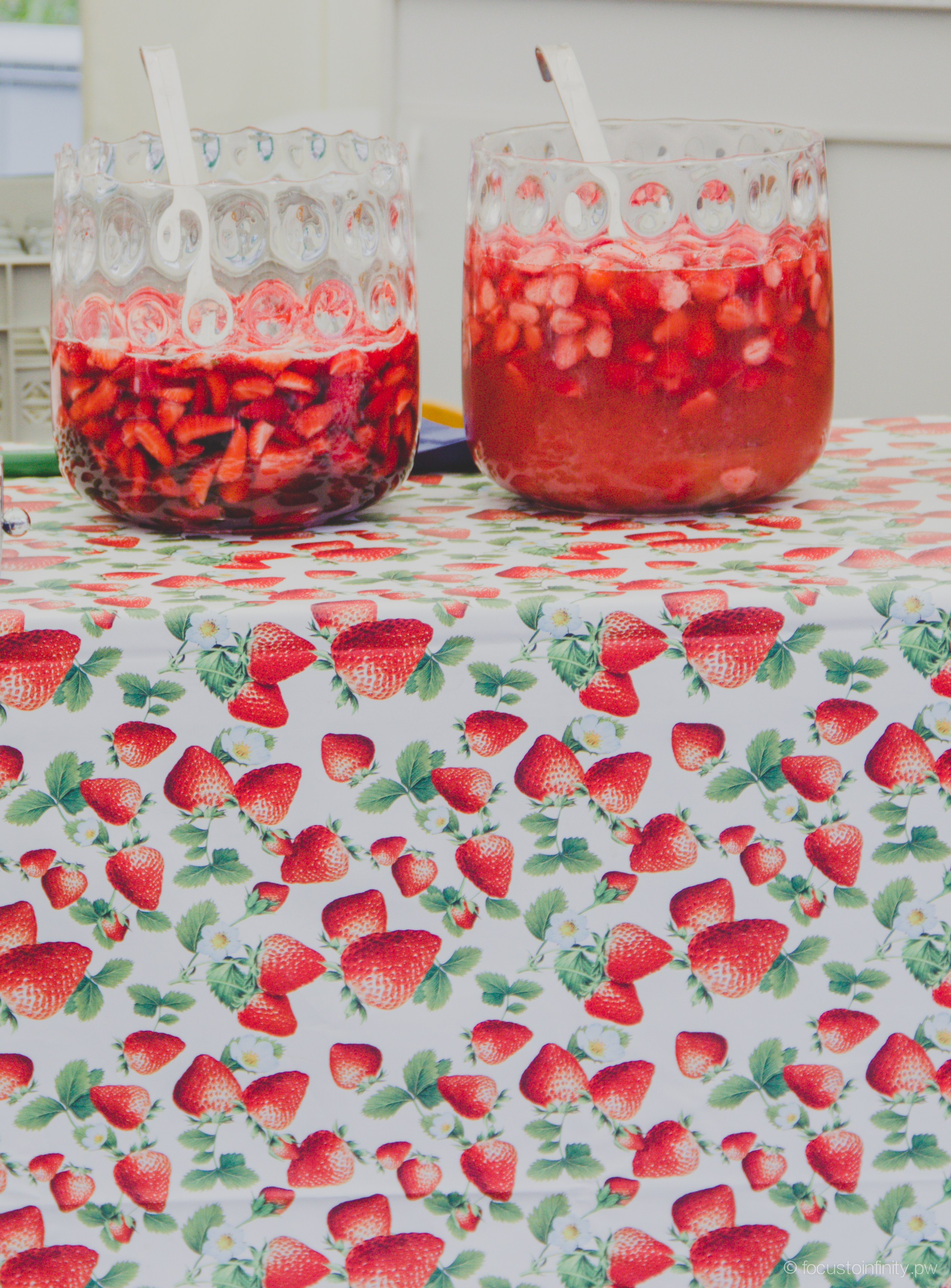 Oberkircher Erdbeerfest. Maria Chistyakovа — Fotografin in Karlsruhe, Baden-Baden und Umgebung