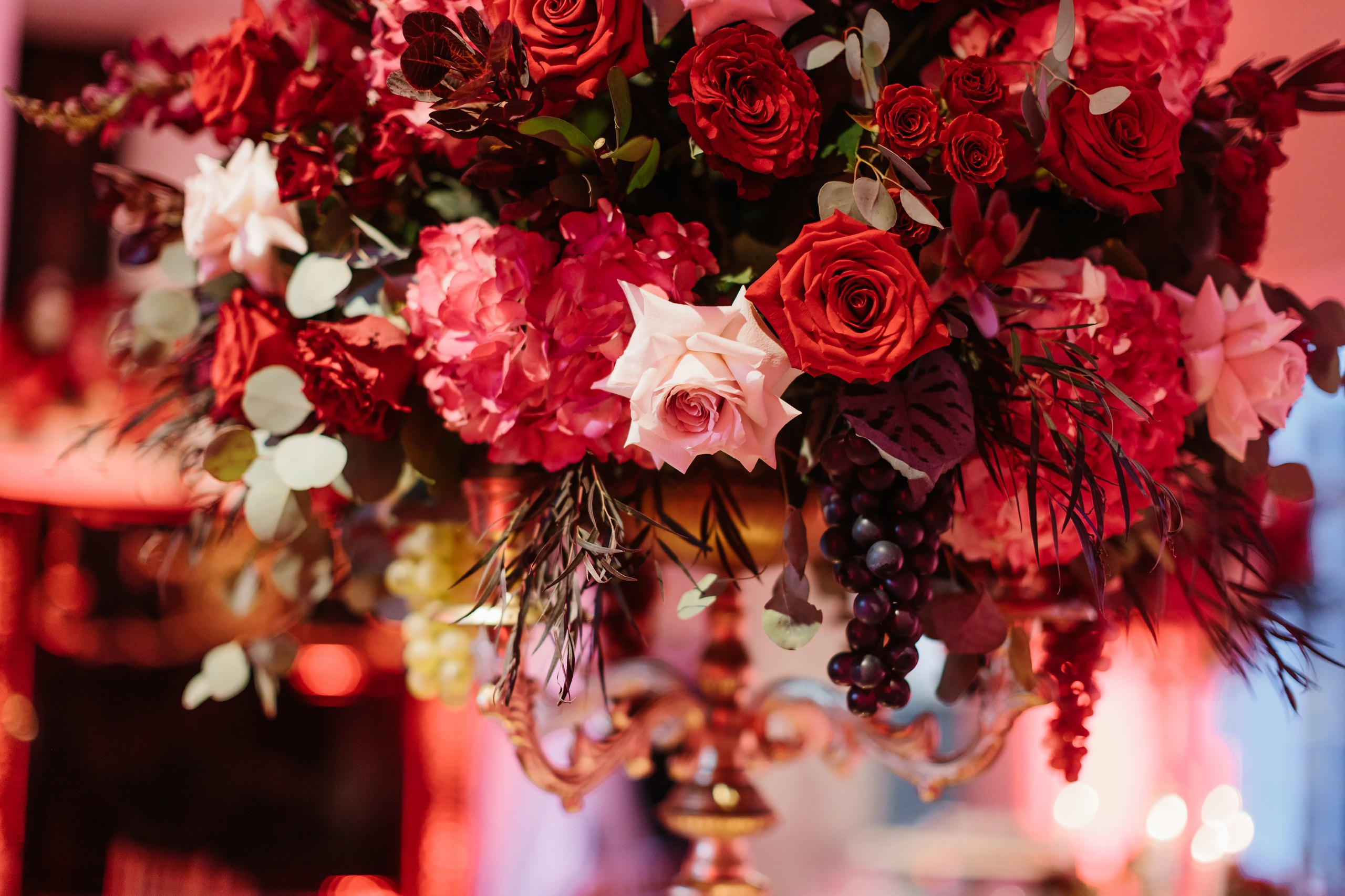 10.26.2024 Birthday Party. Wedding family event photographer in Chicago Nick Yushevich