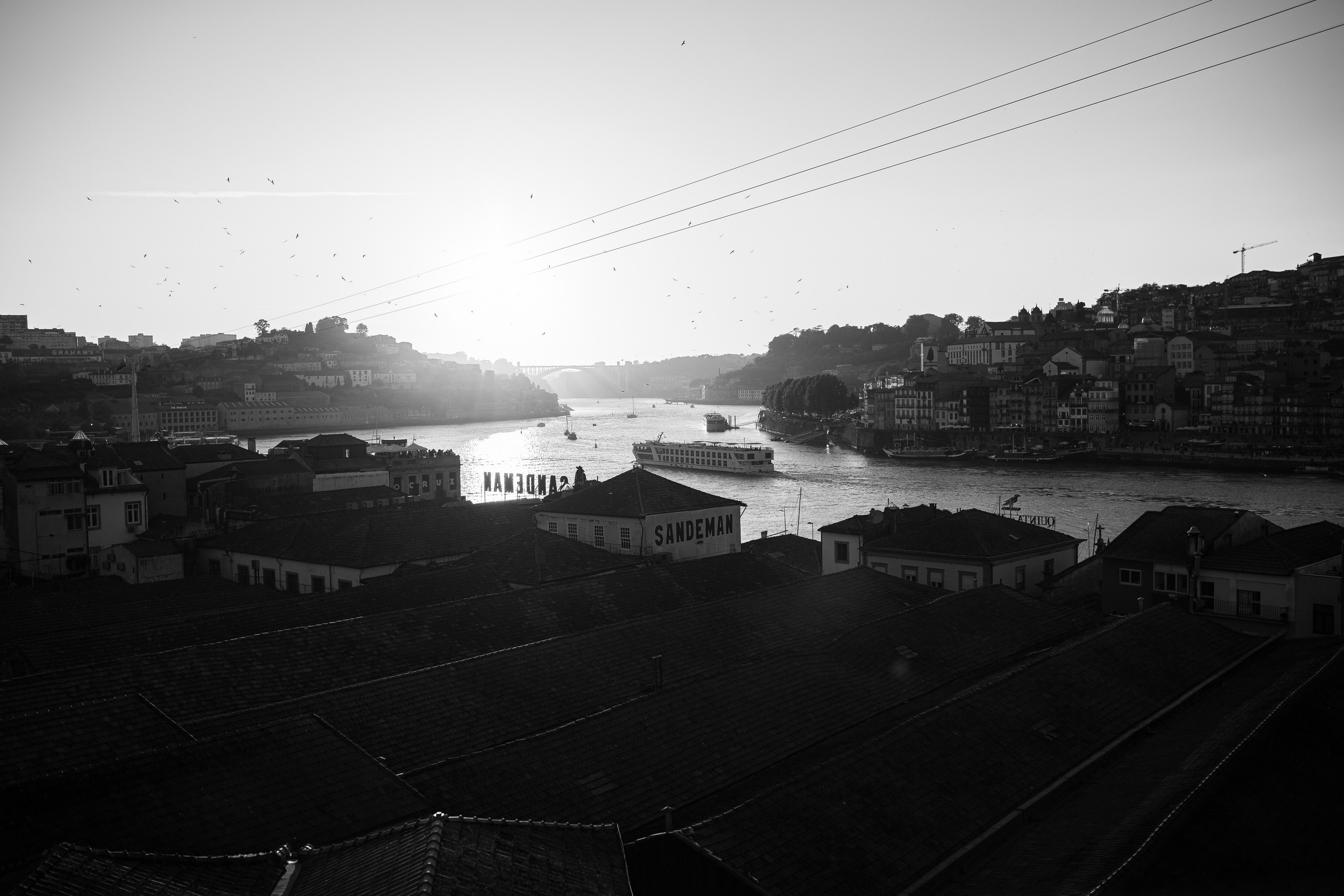 Proposal Shaun. Davi Valente