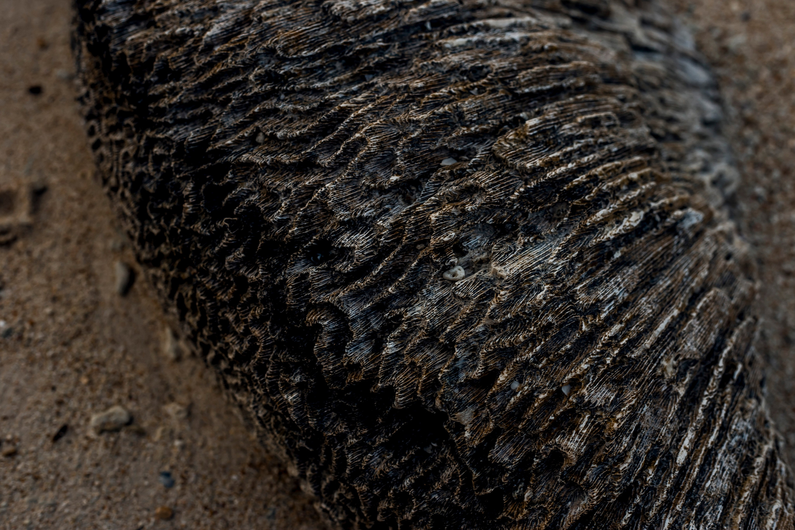 Andaman Islands, Part2. Art Photographer